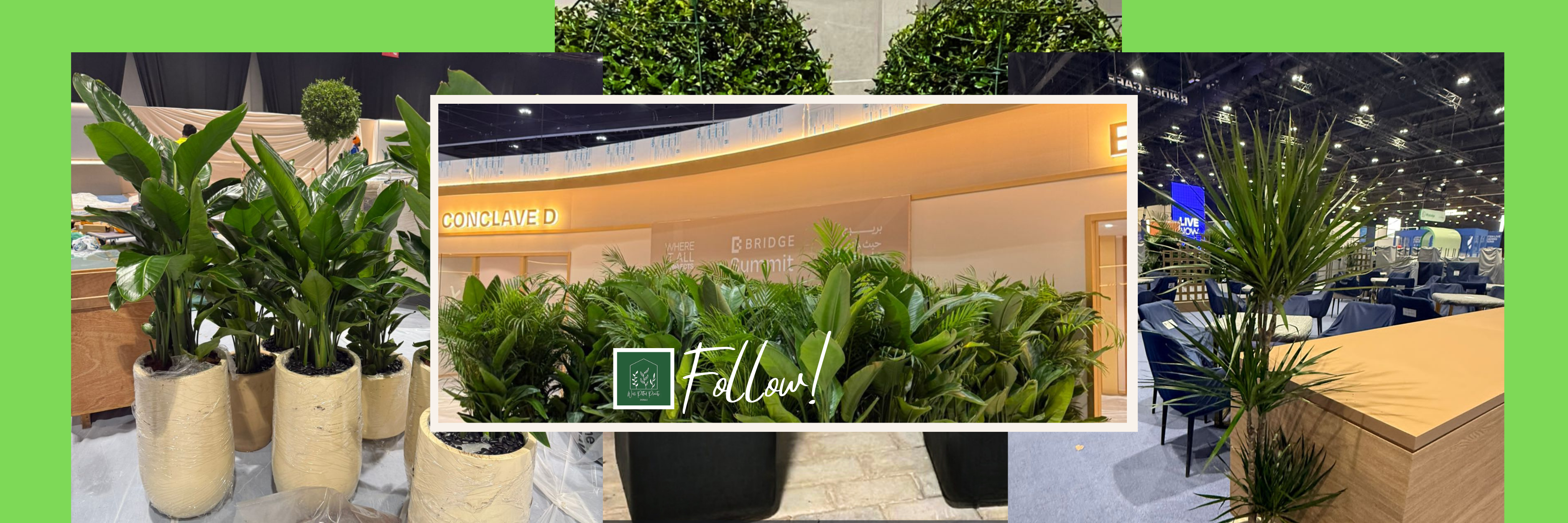 Plant Rental Services by Well Potted Plants