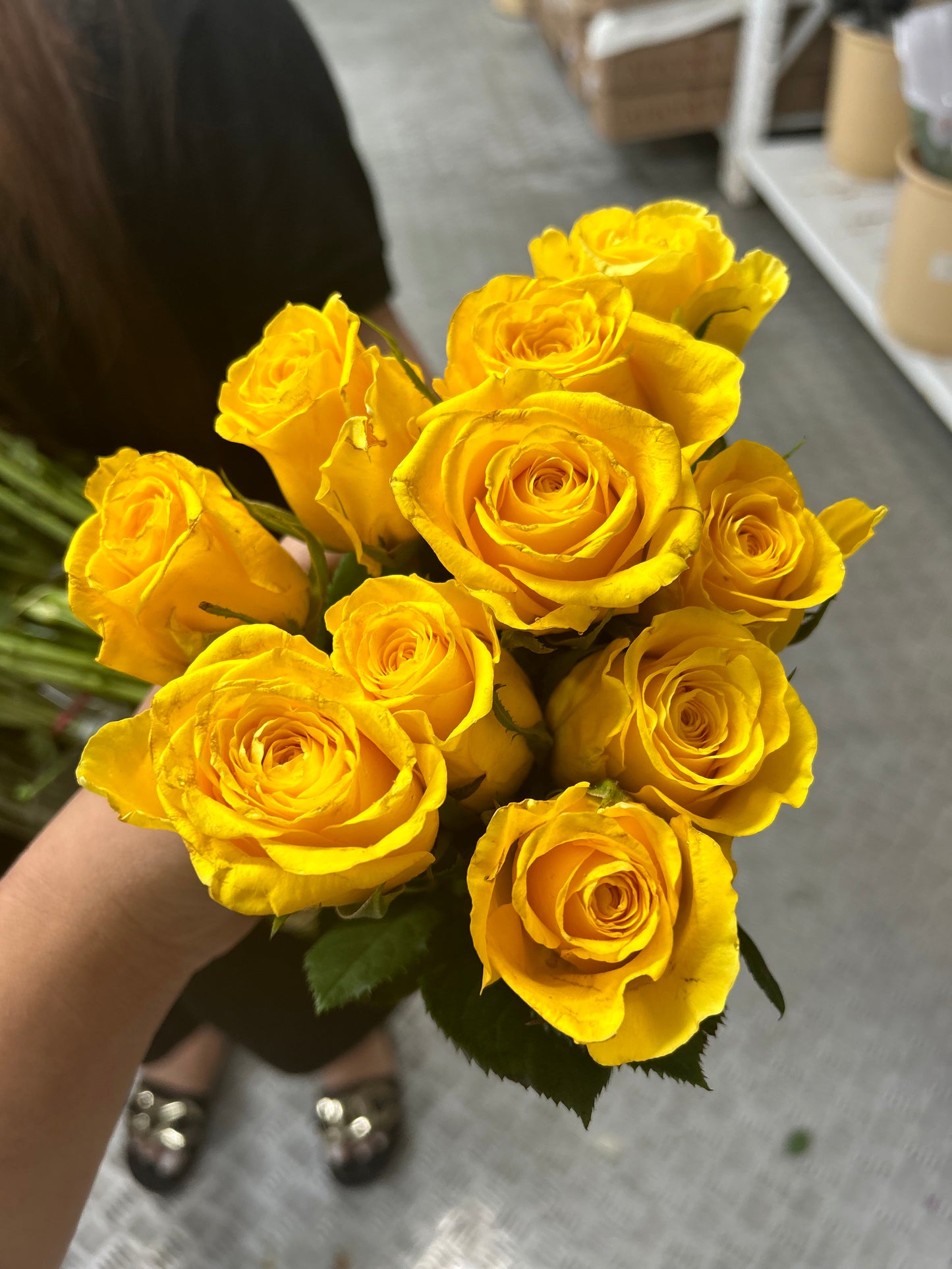 Fresh Roses Best Seller 12pcs