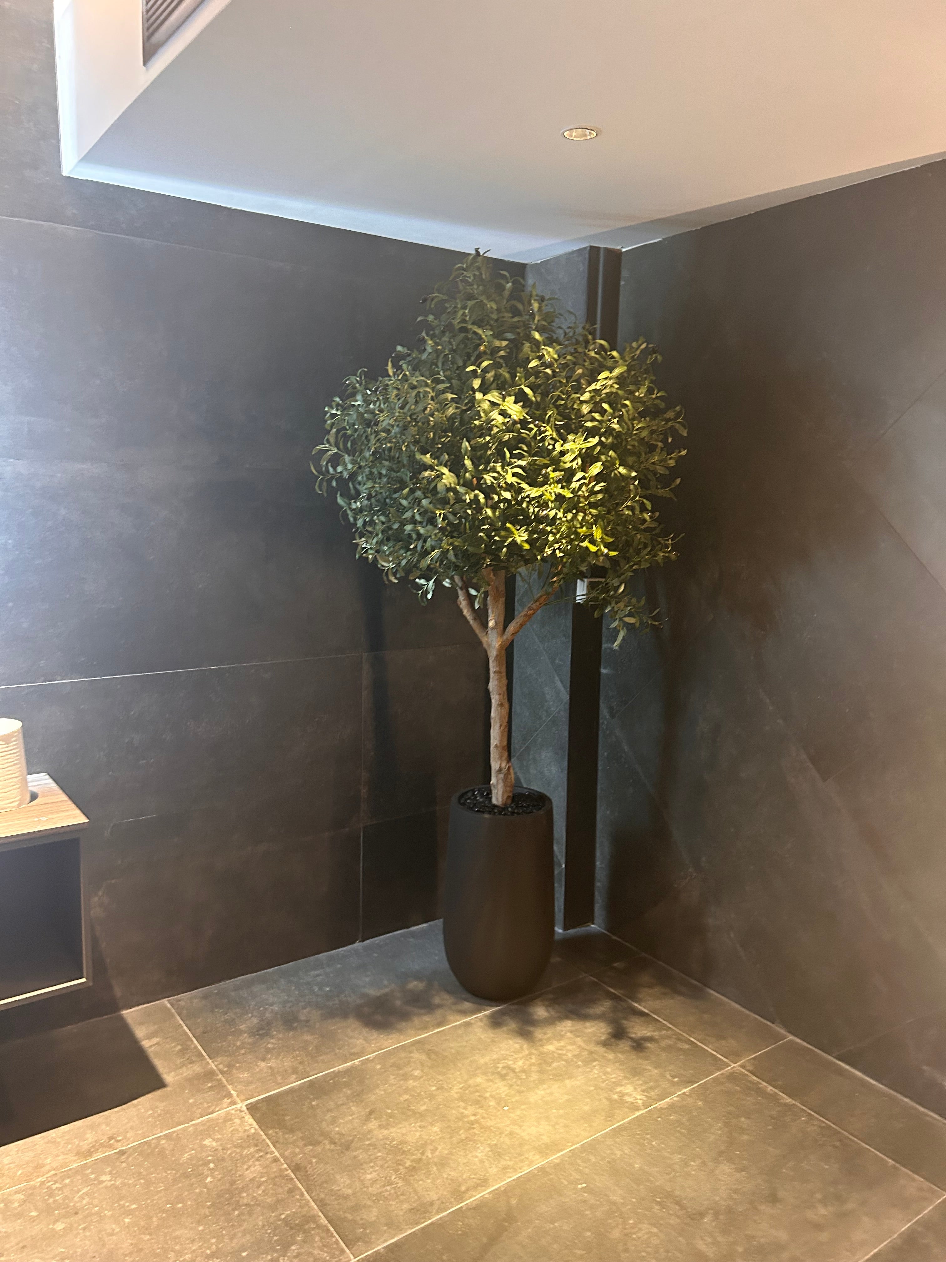 Artificial Olive XLarge in Fiber Matte Pot