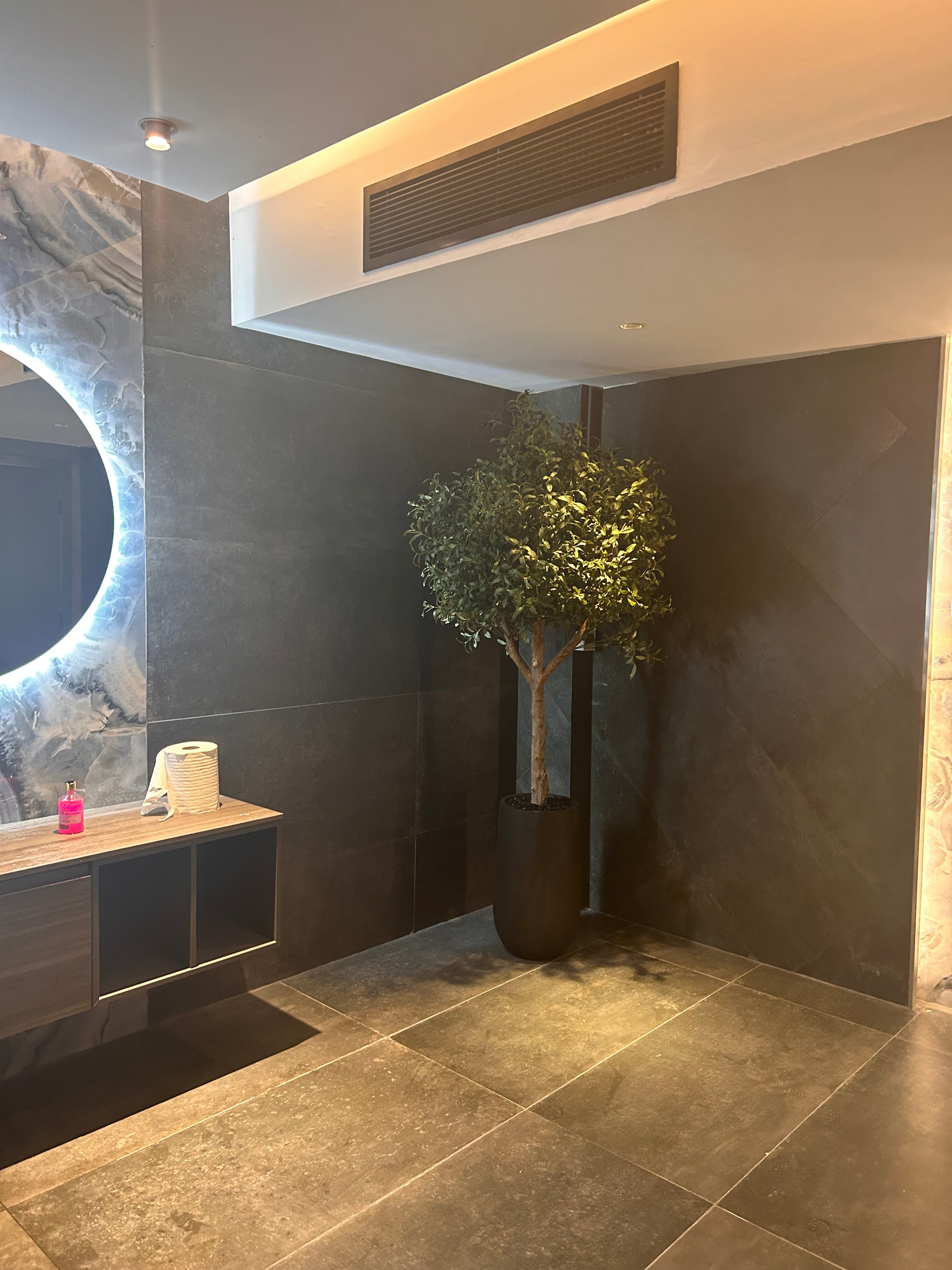 Artificial Olive XLarge in Fiber Matte Pot