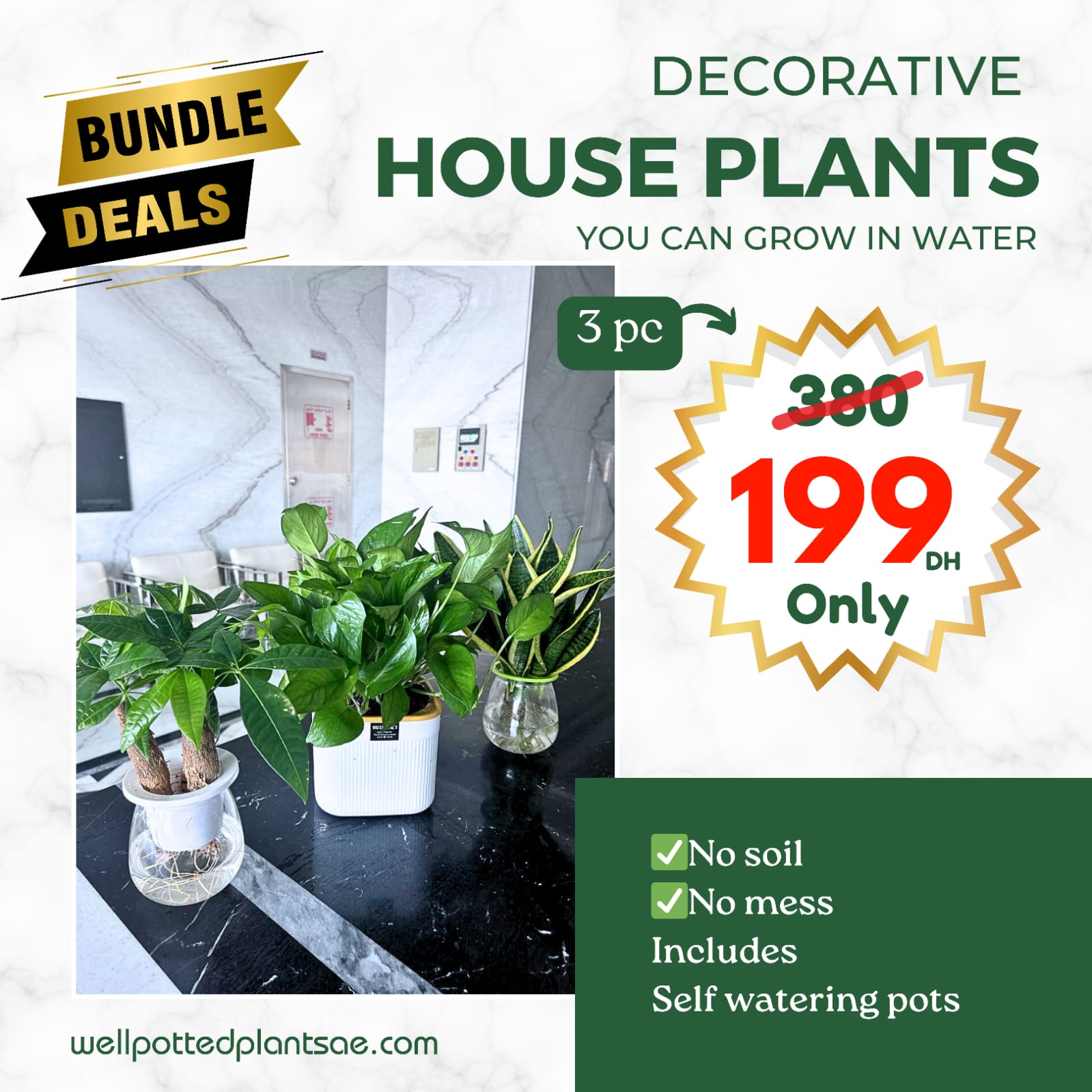 Water Plants Bundle 3 pc Mega Sale