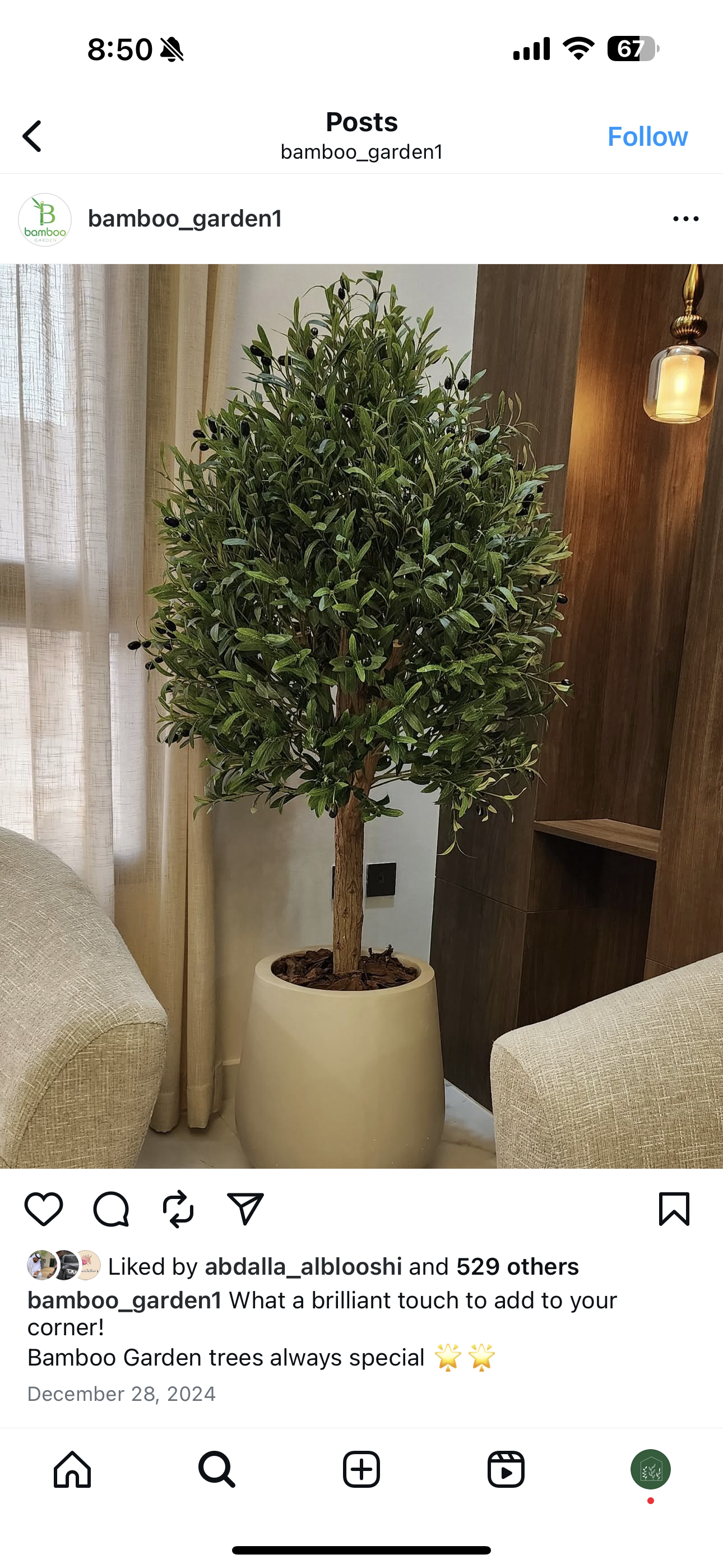 Artificial Olive Tree Large 2meter Plants UAE
