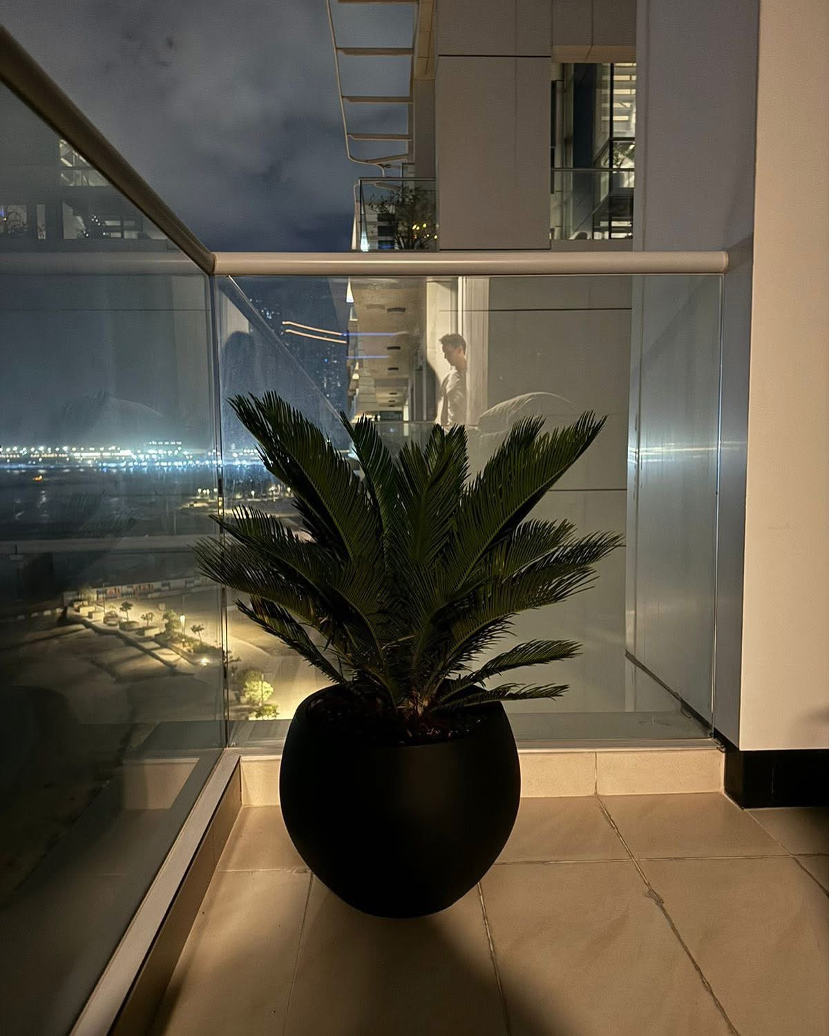 Potted plant in a modern indoor setting with a cityscape view.