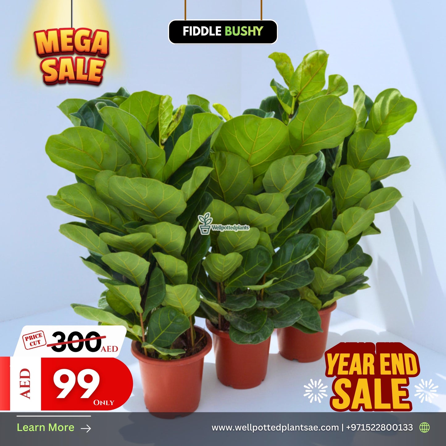 Mega Sale Mega Sale- Fiddle 130cm