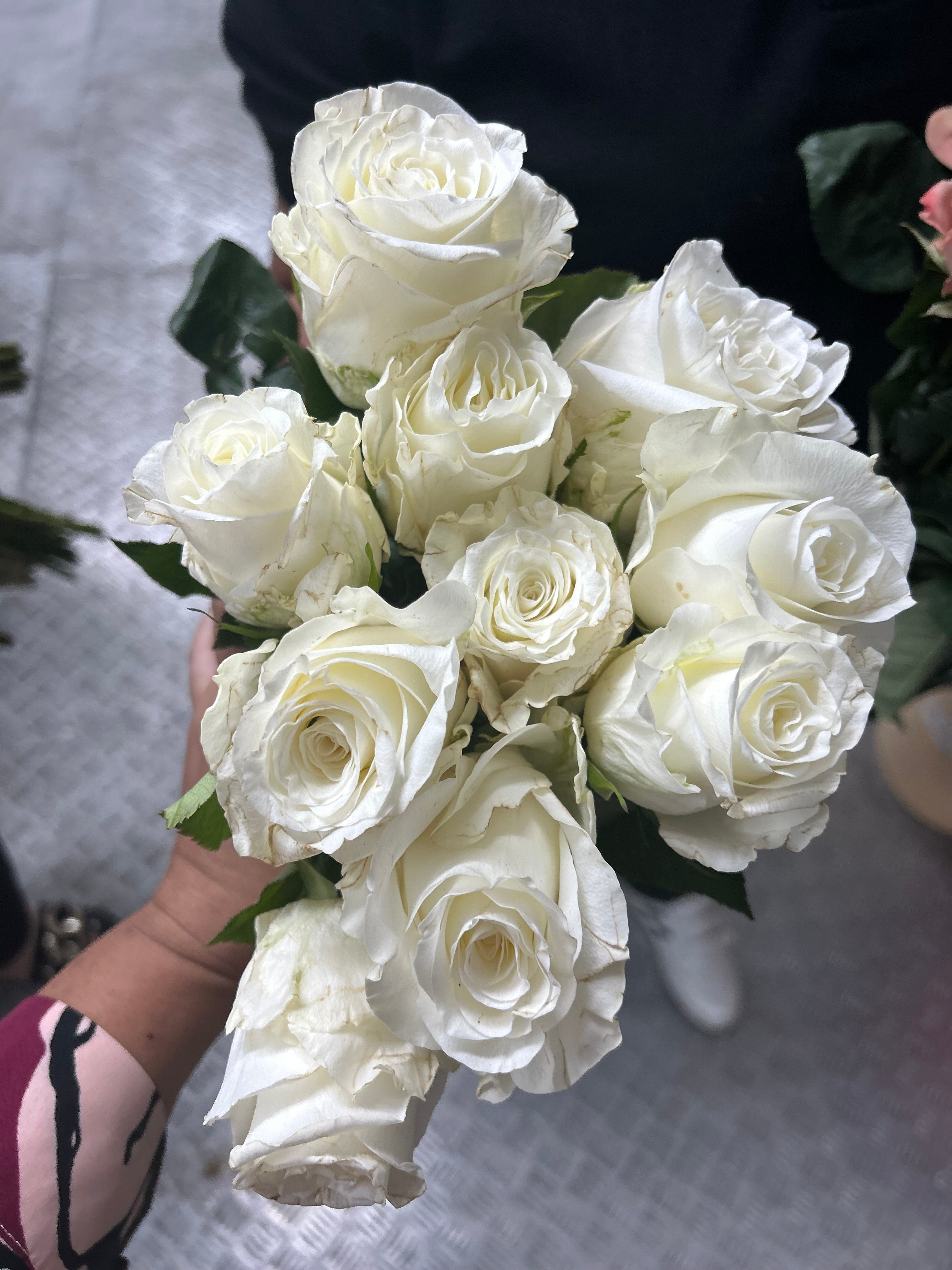 Fresh Roses Best Seller 12pcs