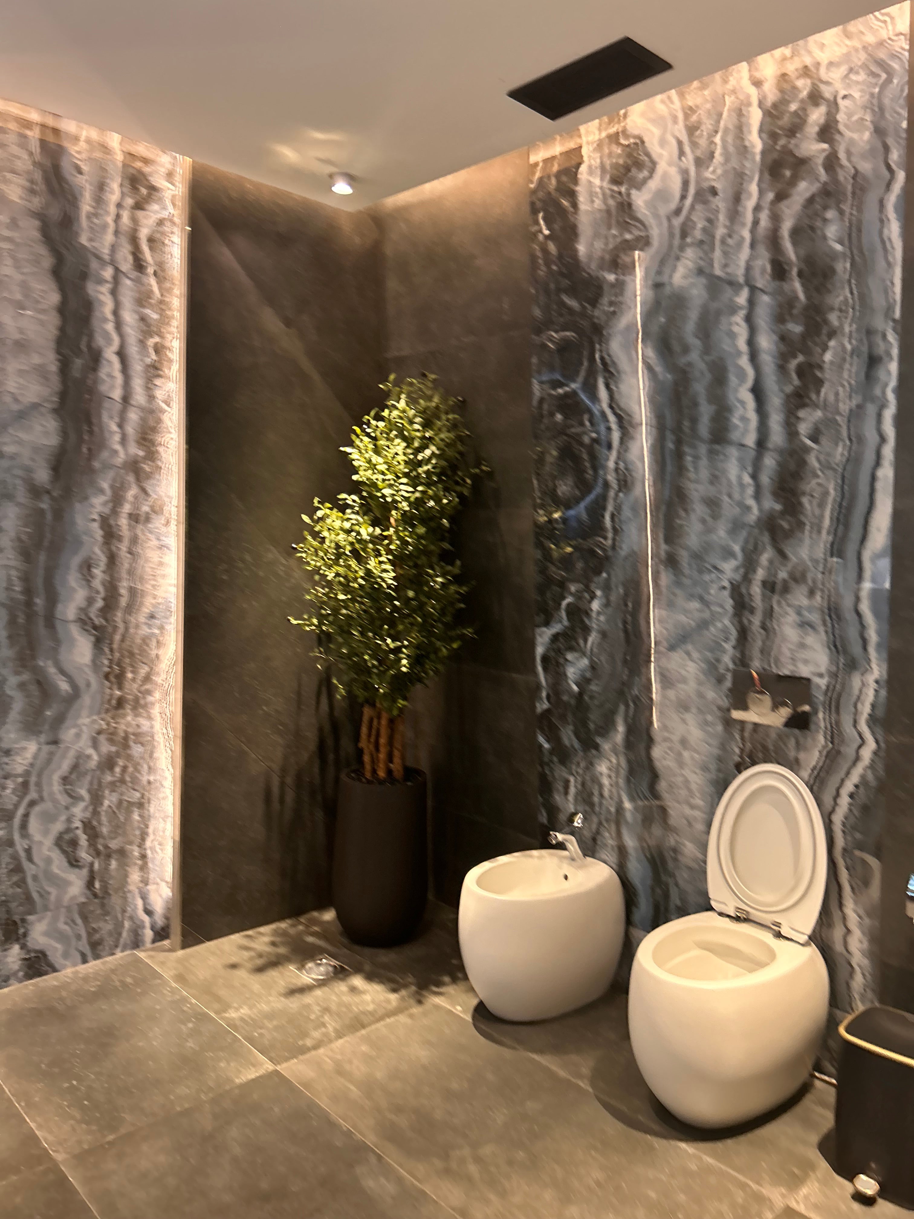 Artificial Olive Premium in Black Fiber Matte New