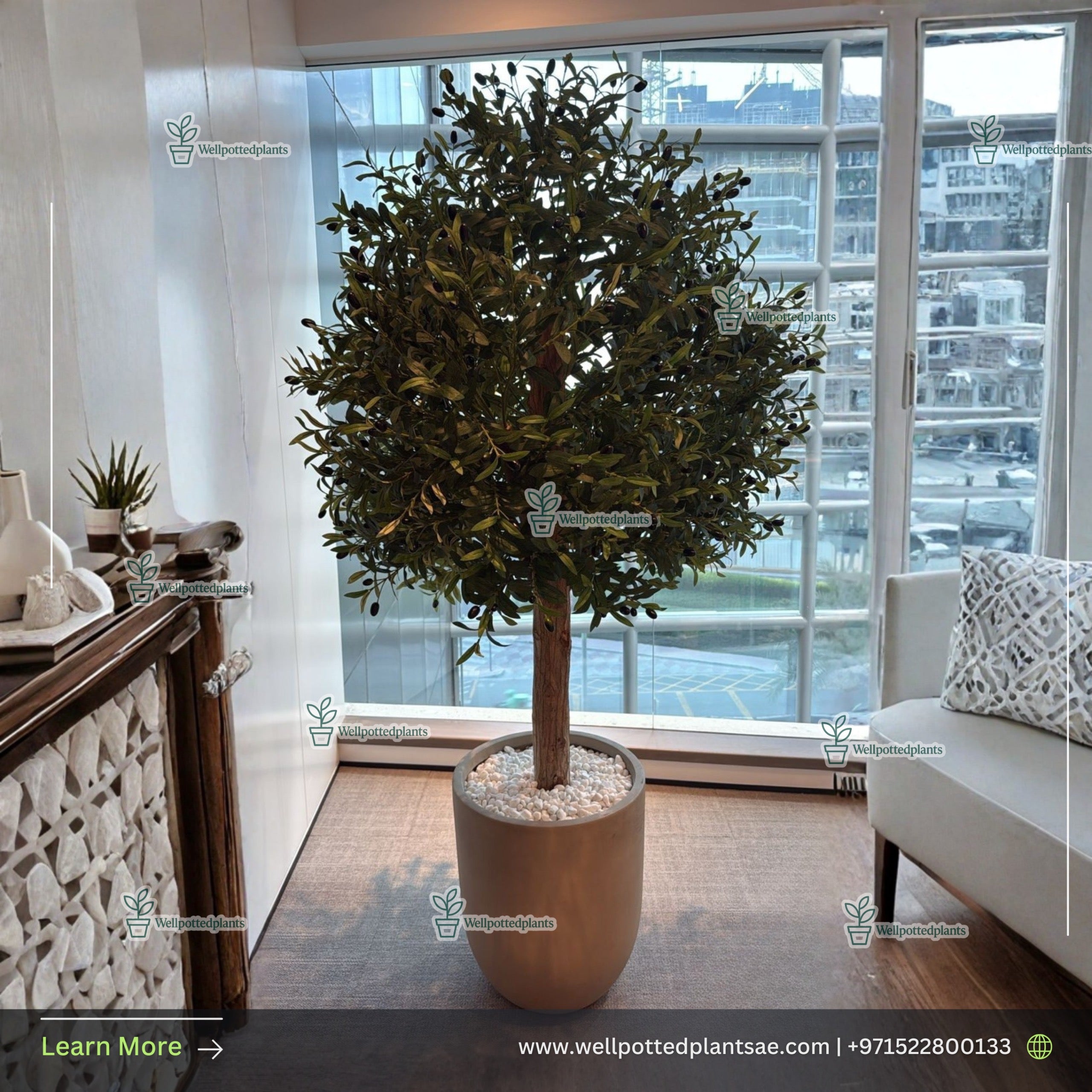 Artificial Olive Tree Premium in Fiber Classy Pot