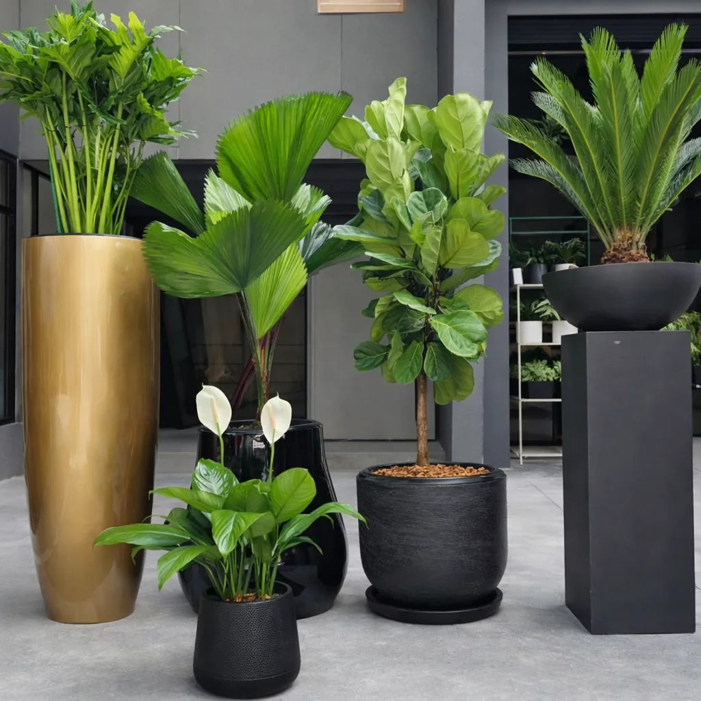 Collection of potted plants in various pots on a concrete floor.