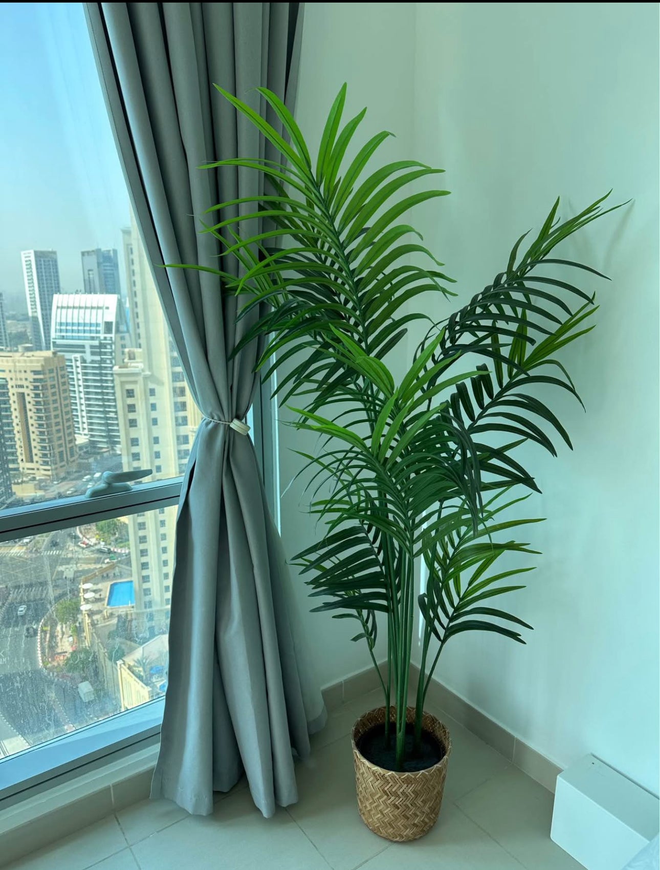 Artificial Areca in Basket