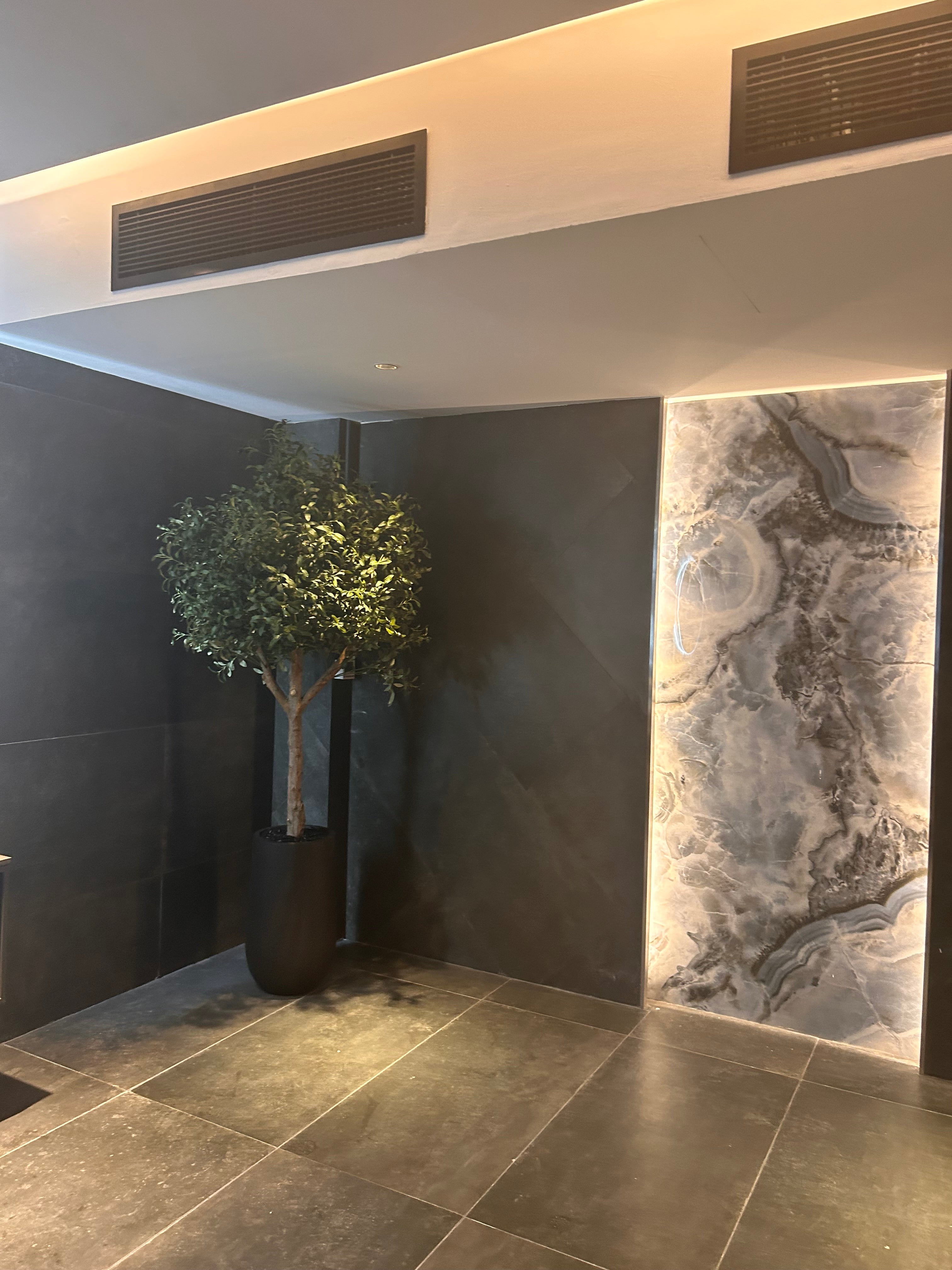 Artificial Olive XLarge in Fiber Matte Pot