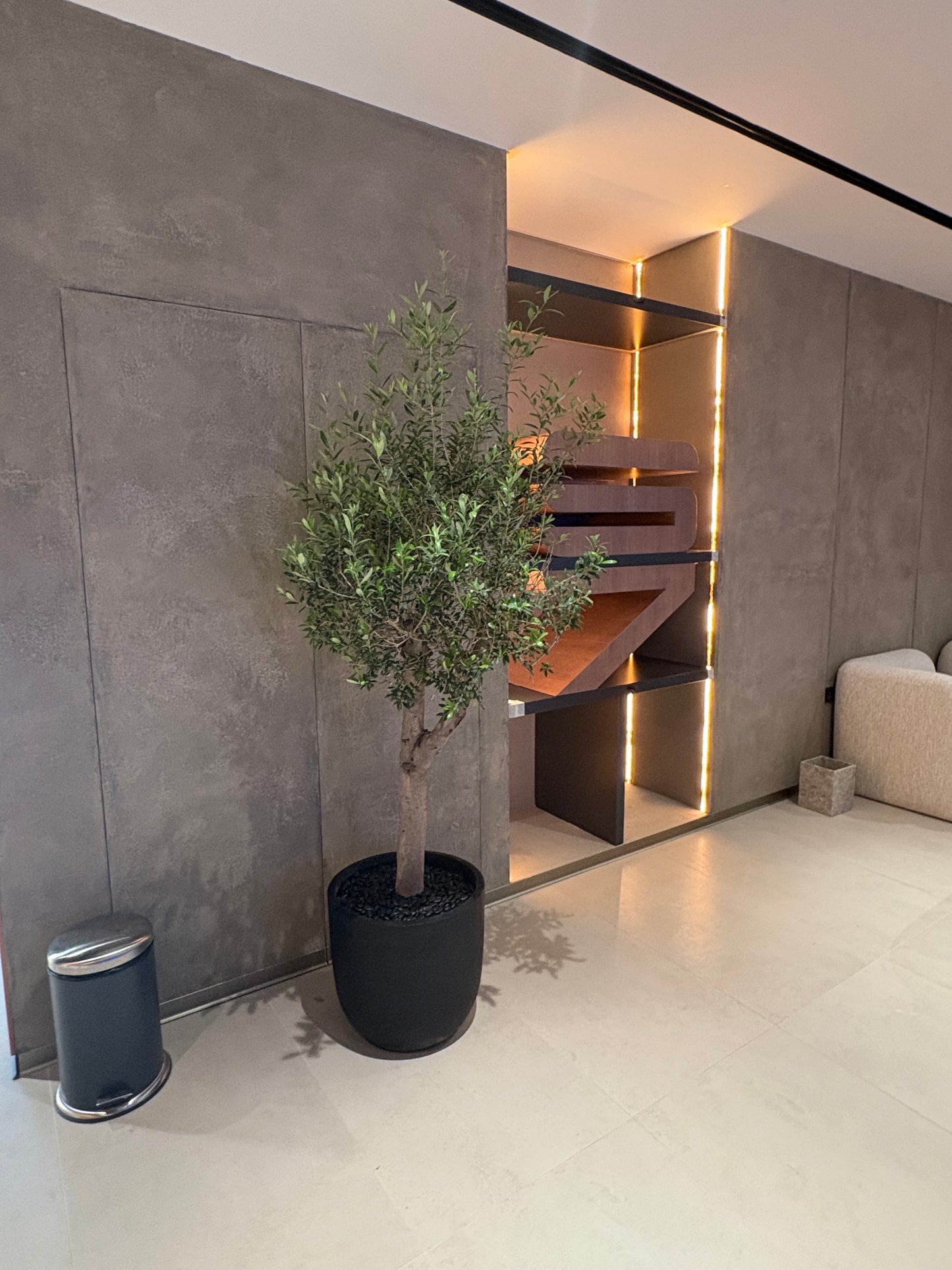 Olive Tree Indoor in Fiber Black Matte Premium