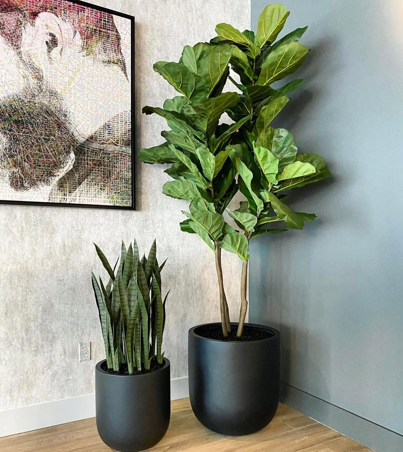 Artificial Premium Plants in Fiber Black Matte Snakeplant + Fiddle