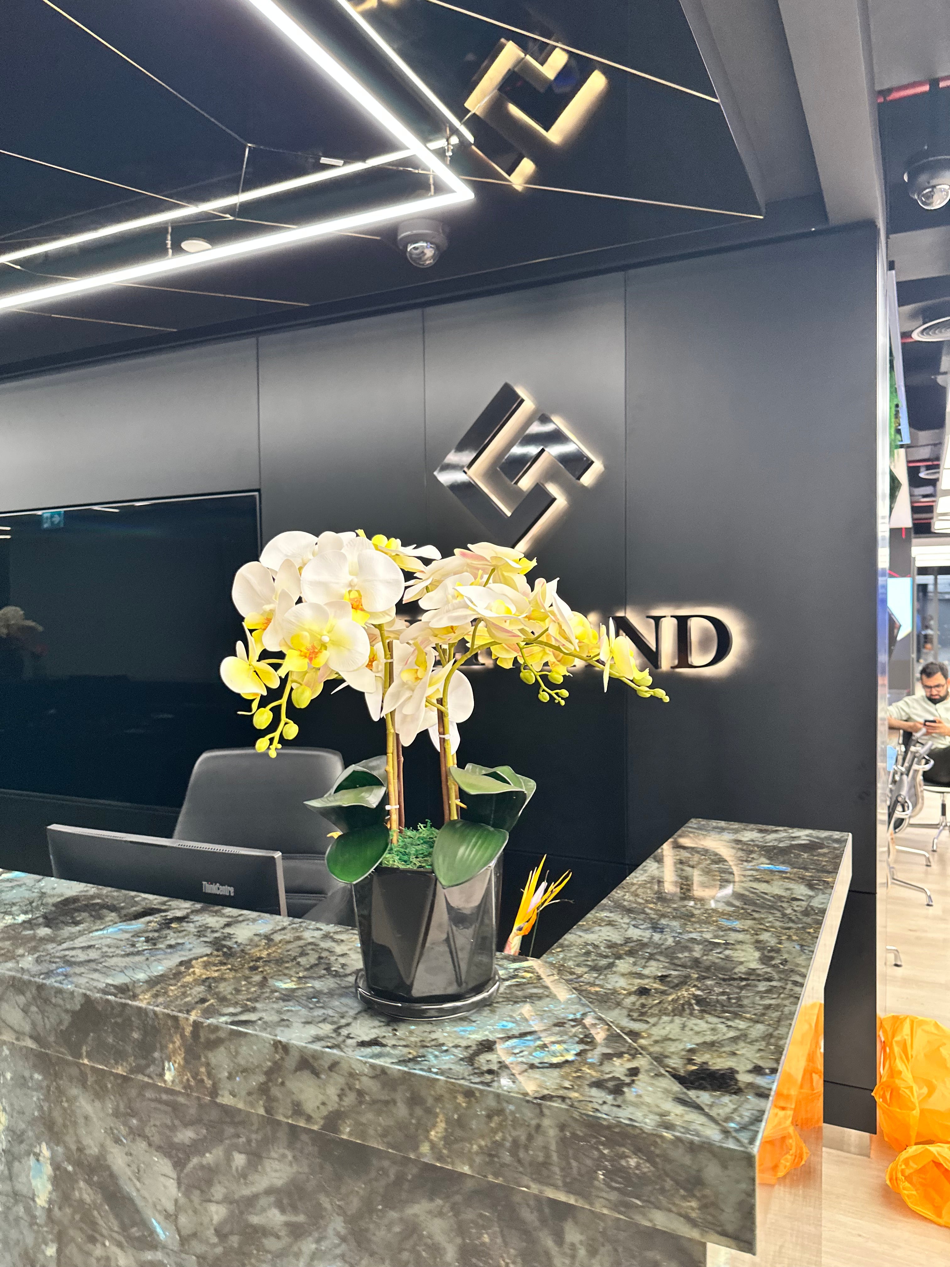 Office Plants Premium Bundle in Fiber Pot New 10pc