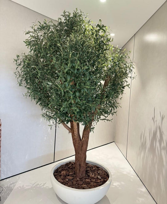 Artificial Olive Multiple Trunk