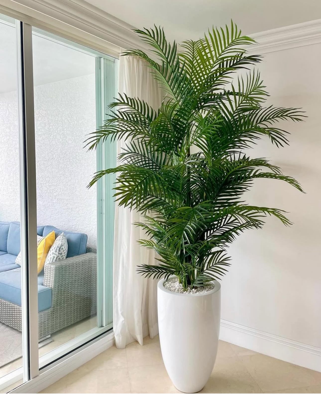 Artificial Areca in Fiber Glossy Premium Quality Indoor Office Plants Dubai