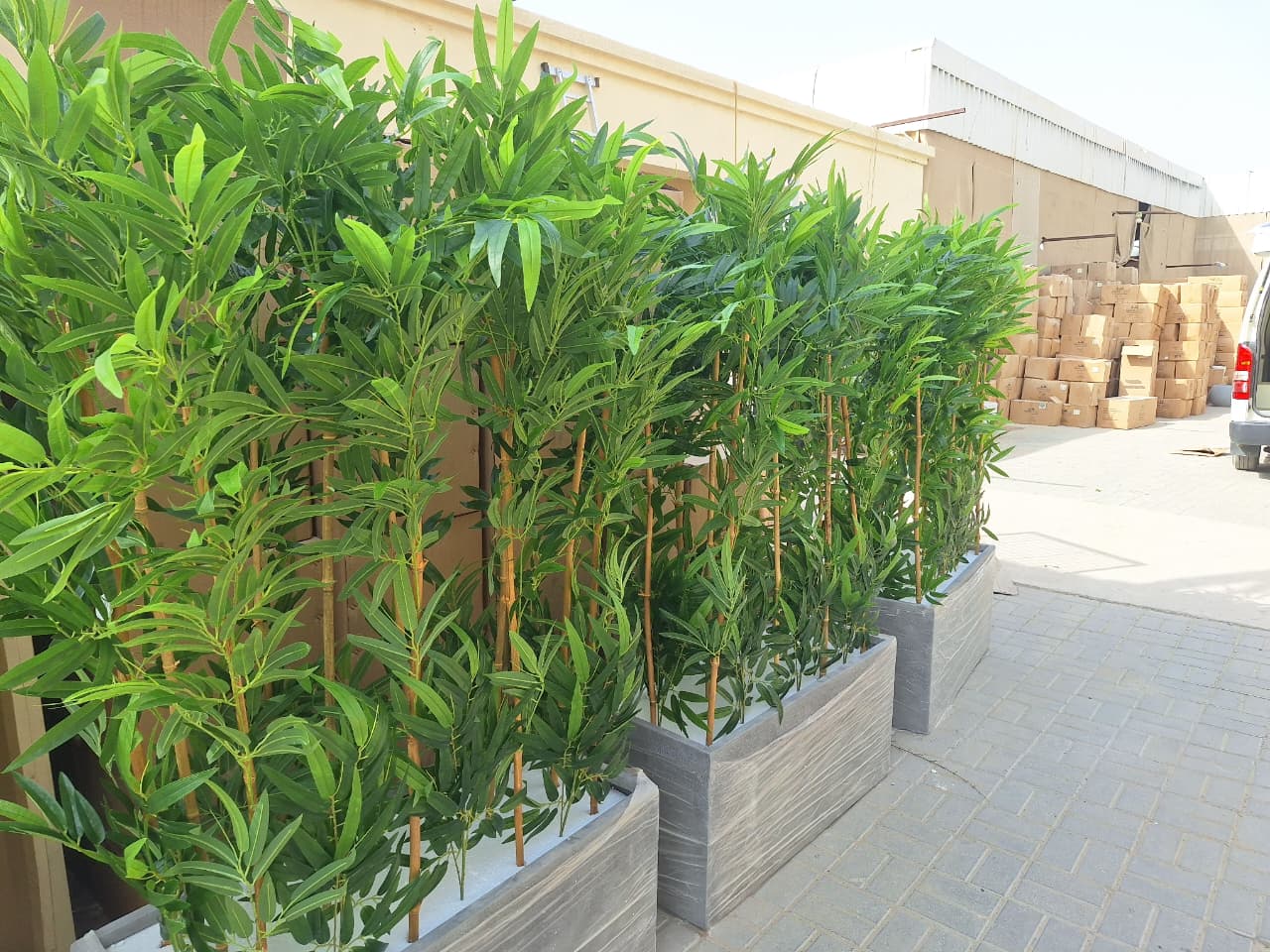 Artificial Bamboo Privacy Plants in Grey Fiber Pot Plants Dubai