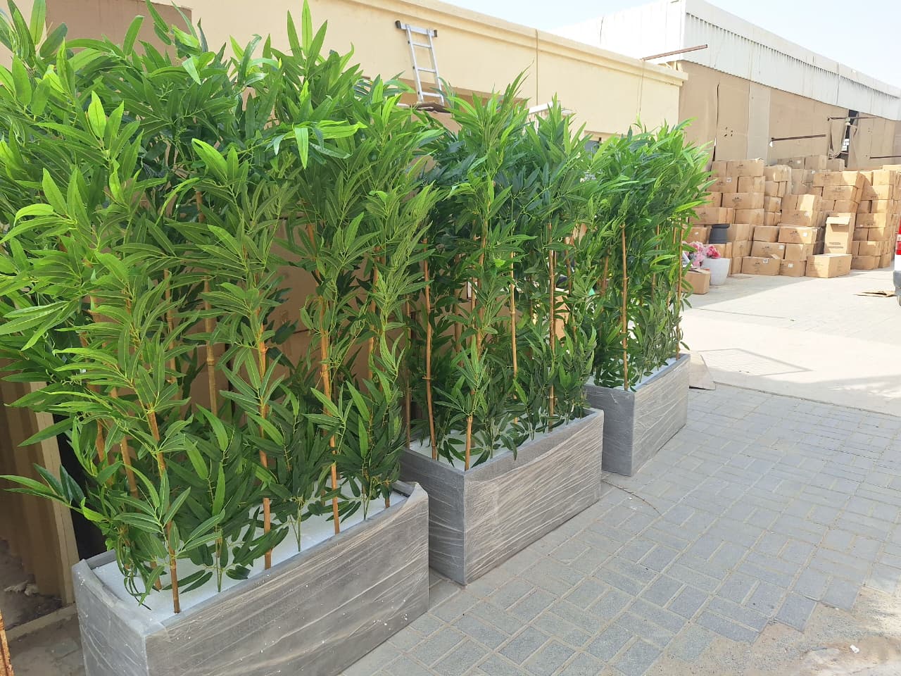 Artificial Bamboo Privacy Plants in Grey Fiber Pot Plants UAE