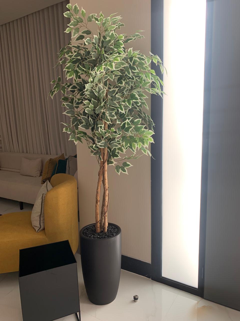 Artificial Benjamina Big 2m Indoor Plants Dubai