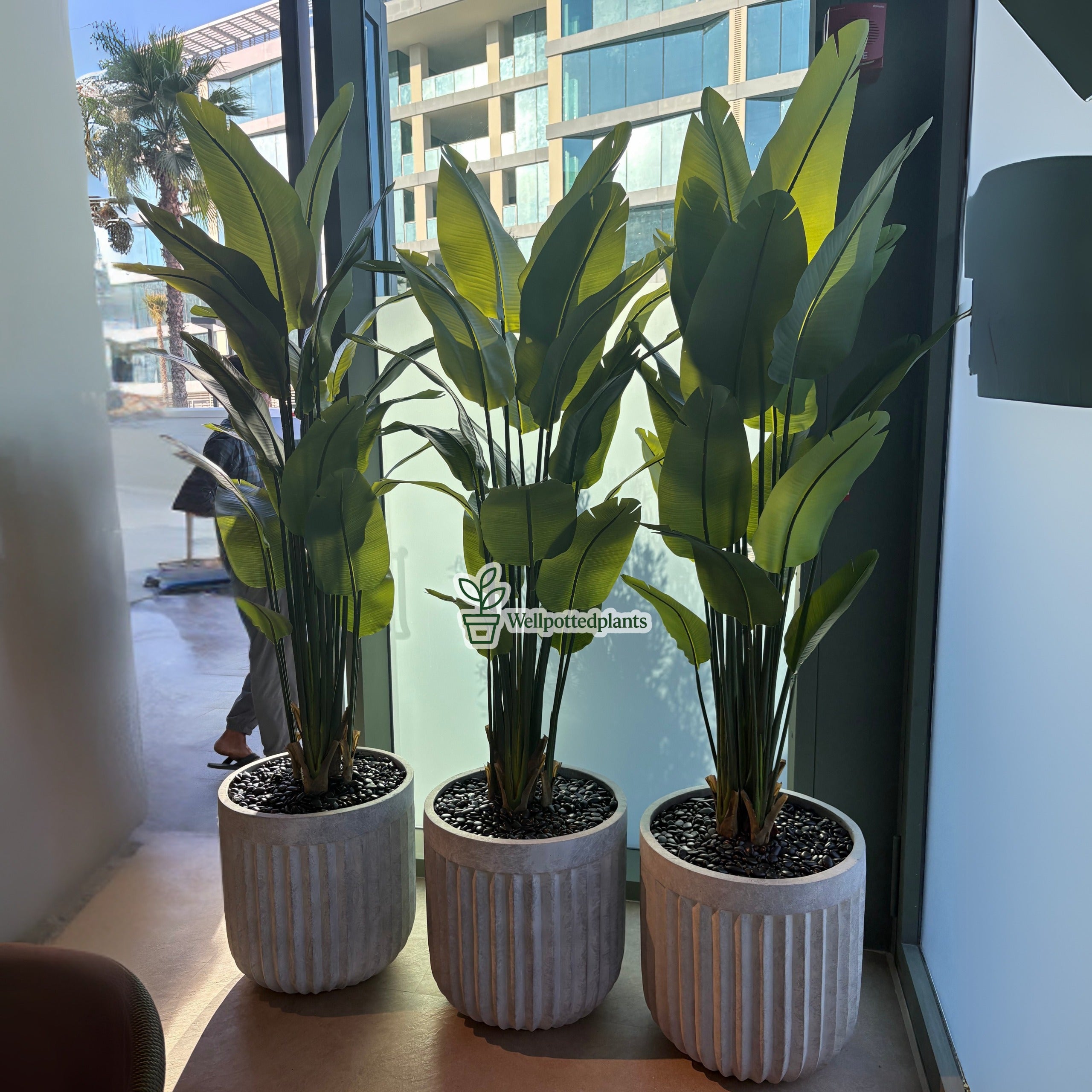 Artificial Giant Bird of Paradise Premium in Rustic Fiber Pot Plants Dubai