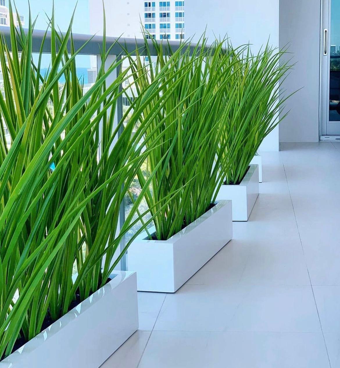 Artificial Grass for Balcony Privacy Plants UAE. Row of green plants in white planters on a balcony with a cityscape view