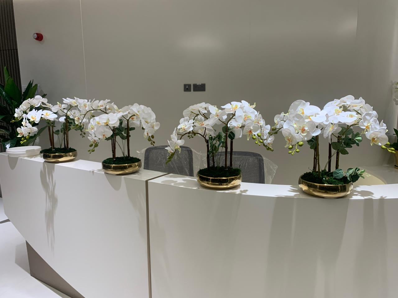 Artificial Orchid Premium Each Pot Plants UAE