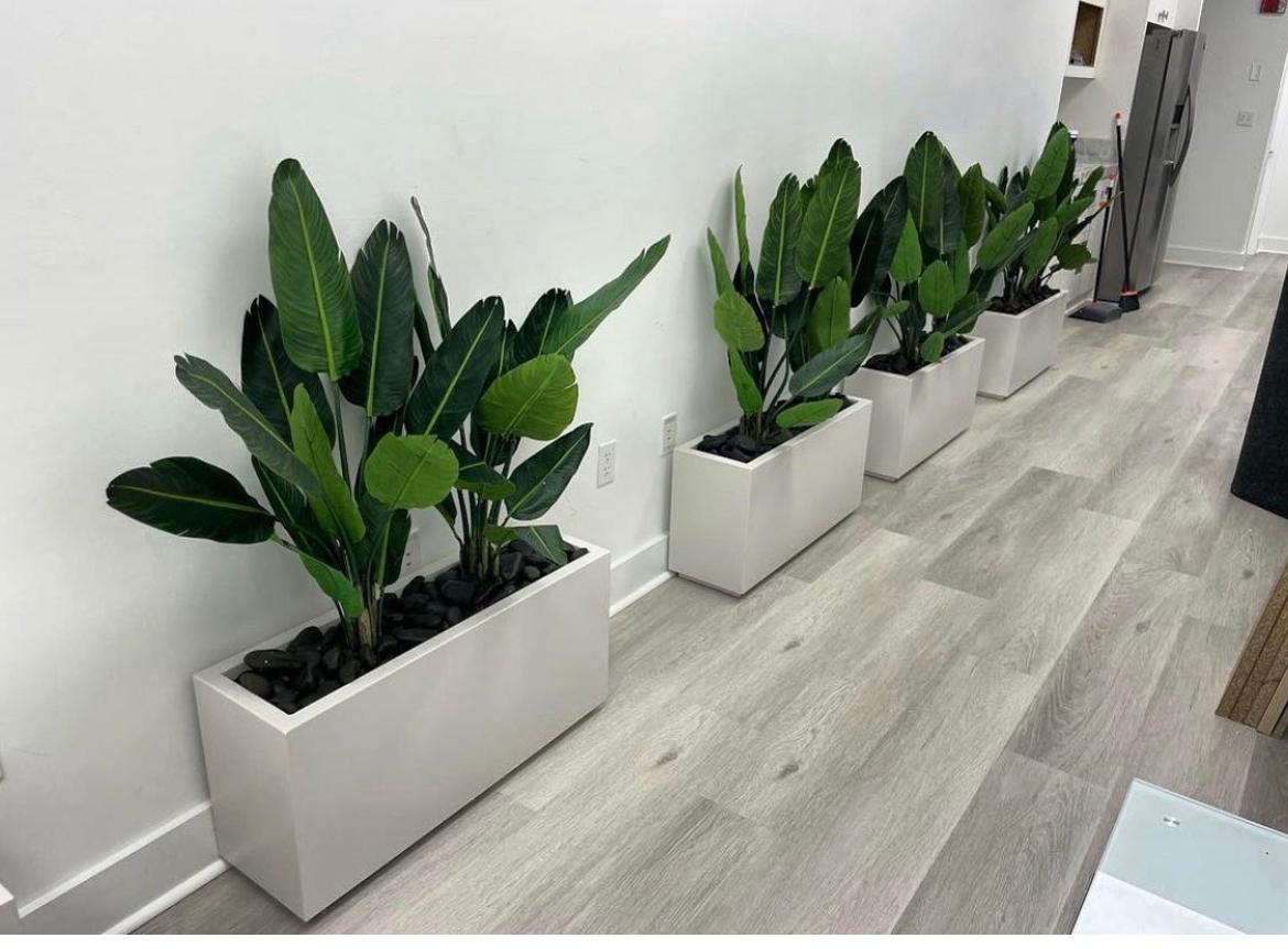 Artificial in rectangle pot for Balcony Plants Online. Row of potted plants on a wooden floor against a white wall