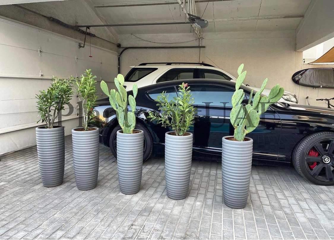 Balcony Bundle Plants Online UAE. Five potted plants in front of a black car in a garage.