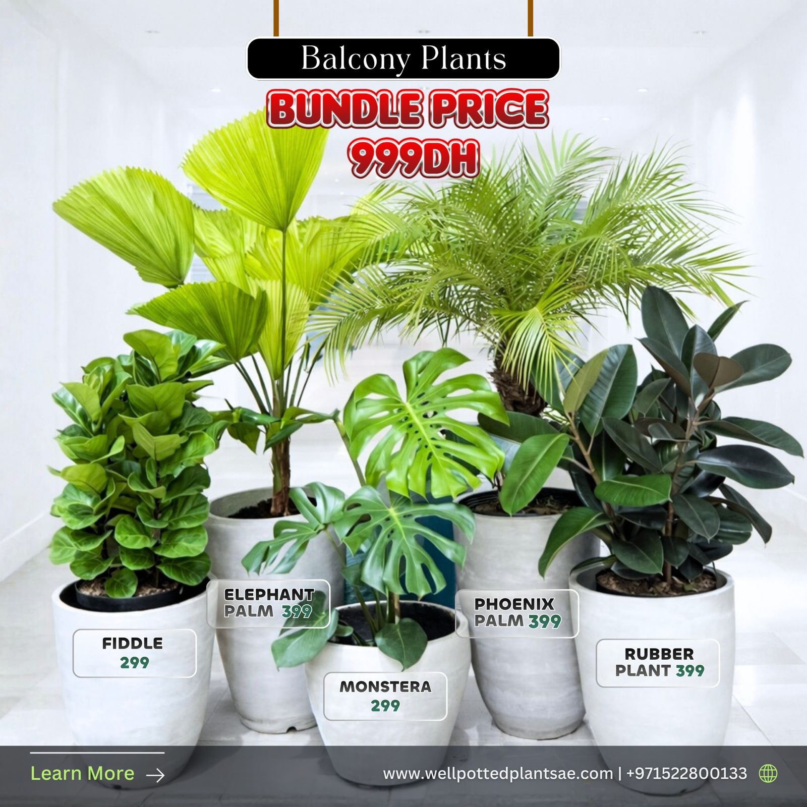 Set of potted plants with prices on a white background, featuring promotional text for a bundle price. Balcony Plants Bundle 5 Plants.