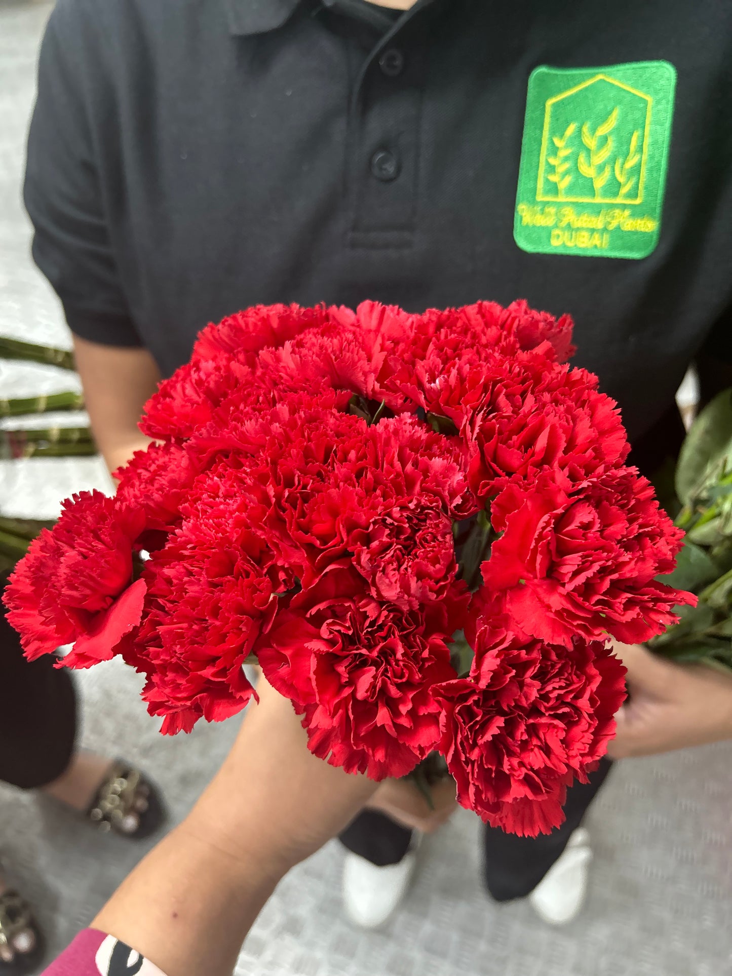Fresh Flowers Carnation 12pcs Best Seller