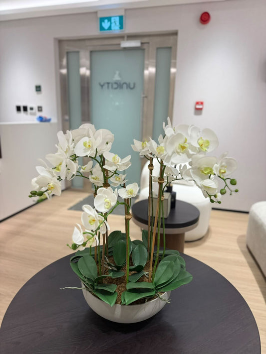 Ochid Large in round pot