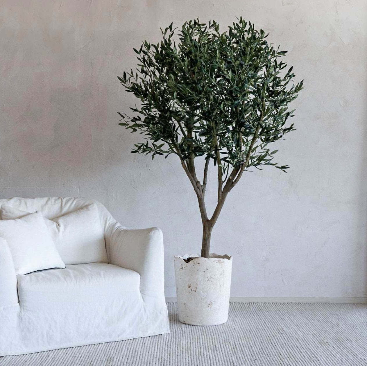 Artificial Olive Tree in Rustic