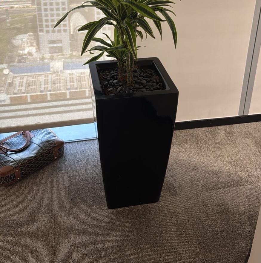 Fiber Xlarge Pots 80cm x 30cm Height Plants UAE.