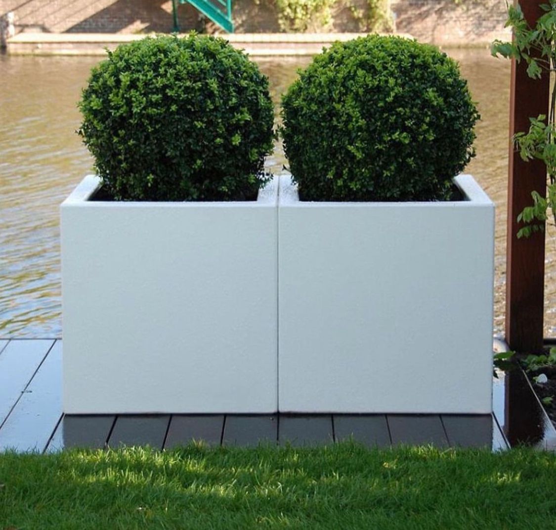 Outdoor Plants Grassballs Bundle