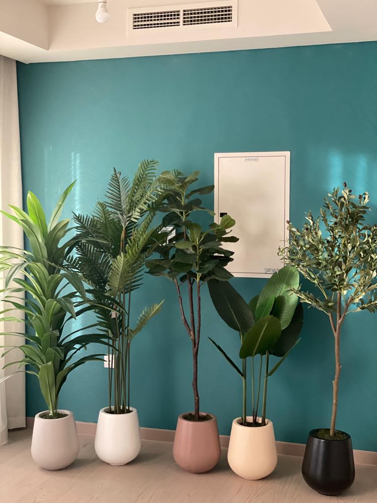 AA Office Plant Artificial 5plants Bundle