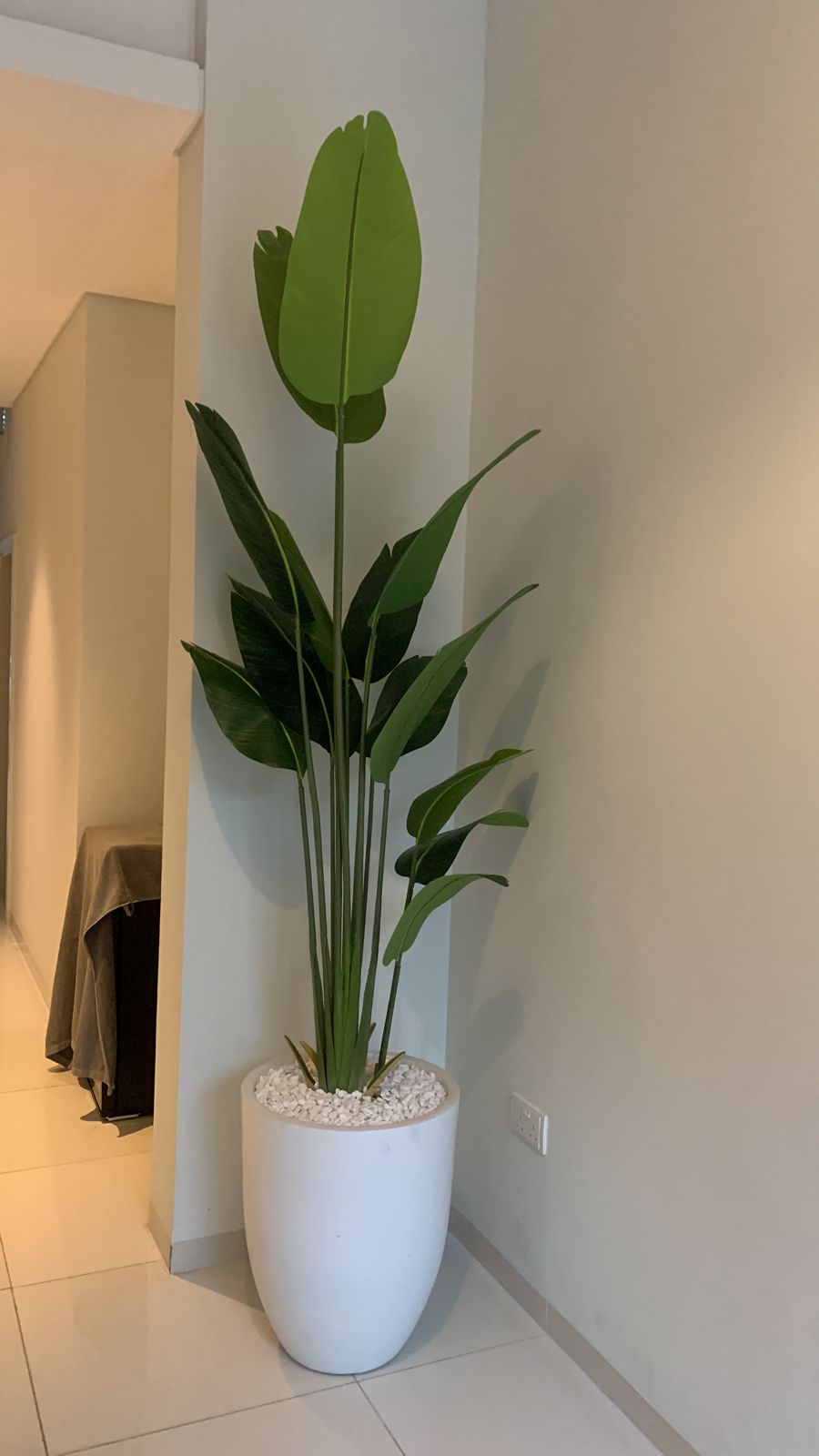 Birds of Paradise in Ceramic white 2.5m Faux Plant