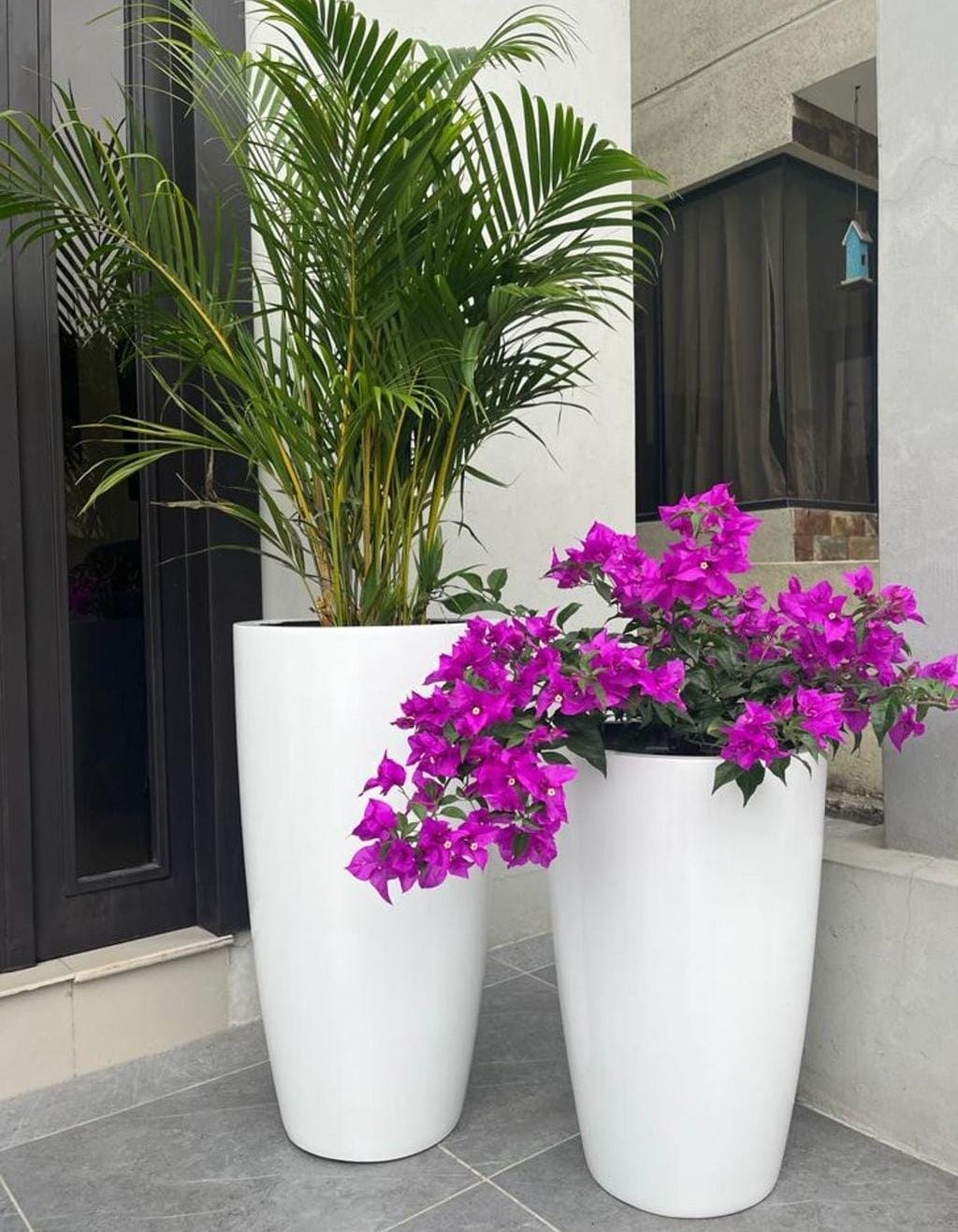 AA WOW Premium Outdoor Bundle in white ceramic Pots