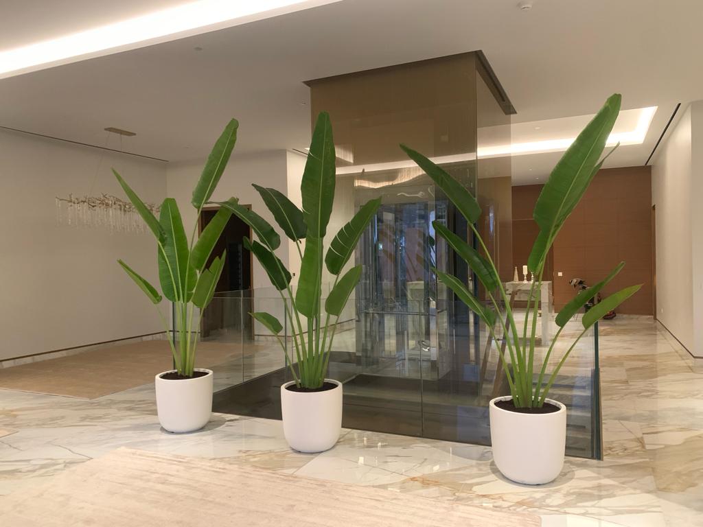 Travellers Palm XL in White Ceramic New