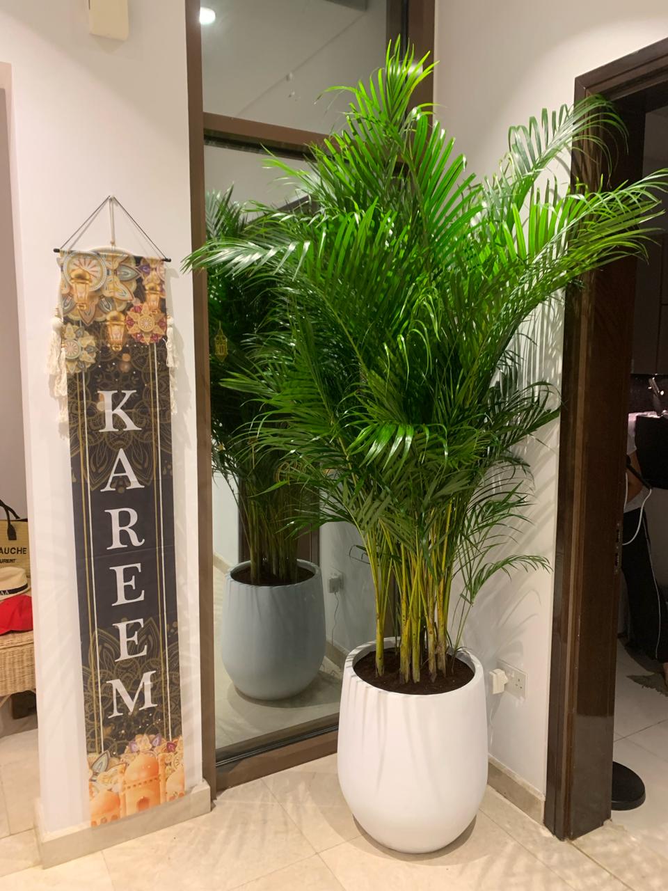 Office Plants Big Areca 3m Premium Collection in Fiber