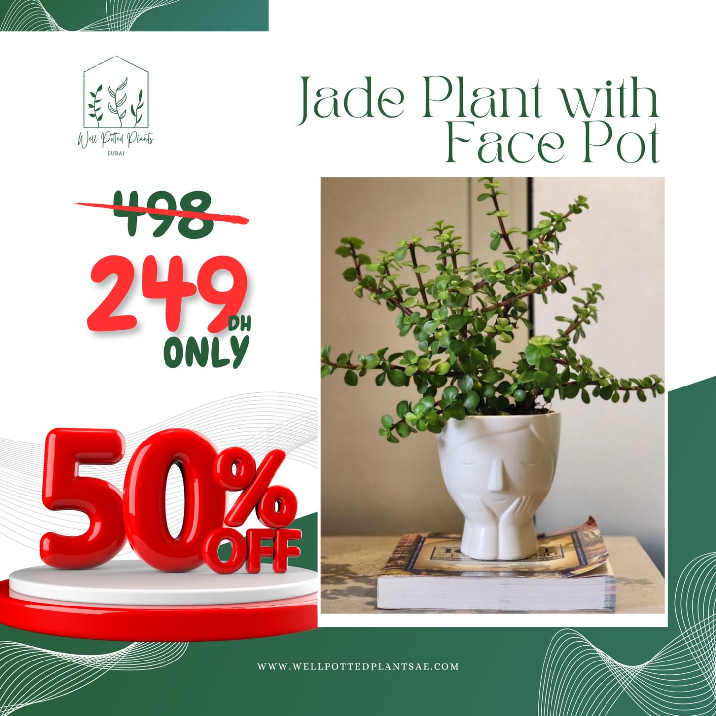 Jade Plant in Face Pot