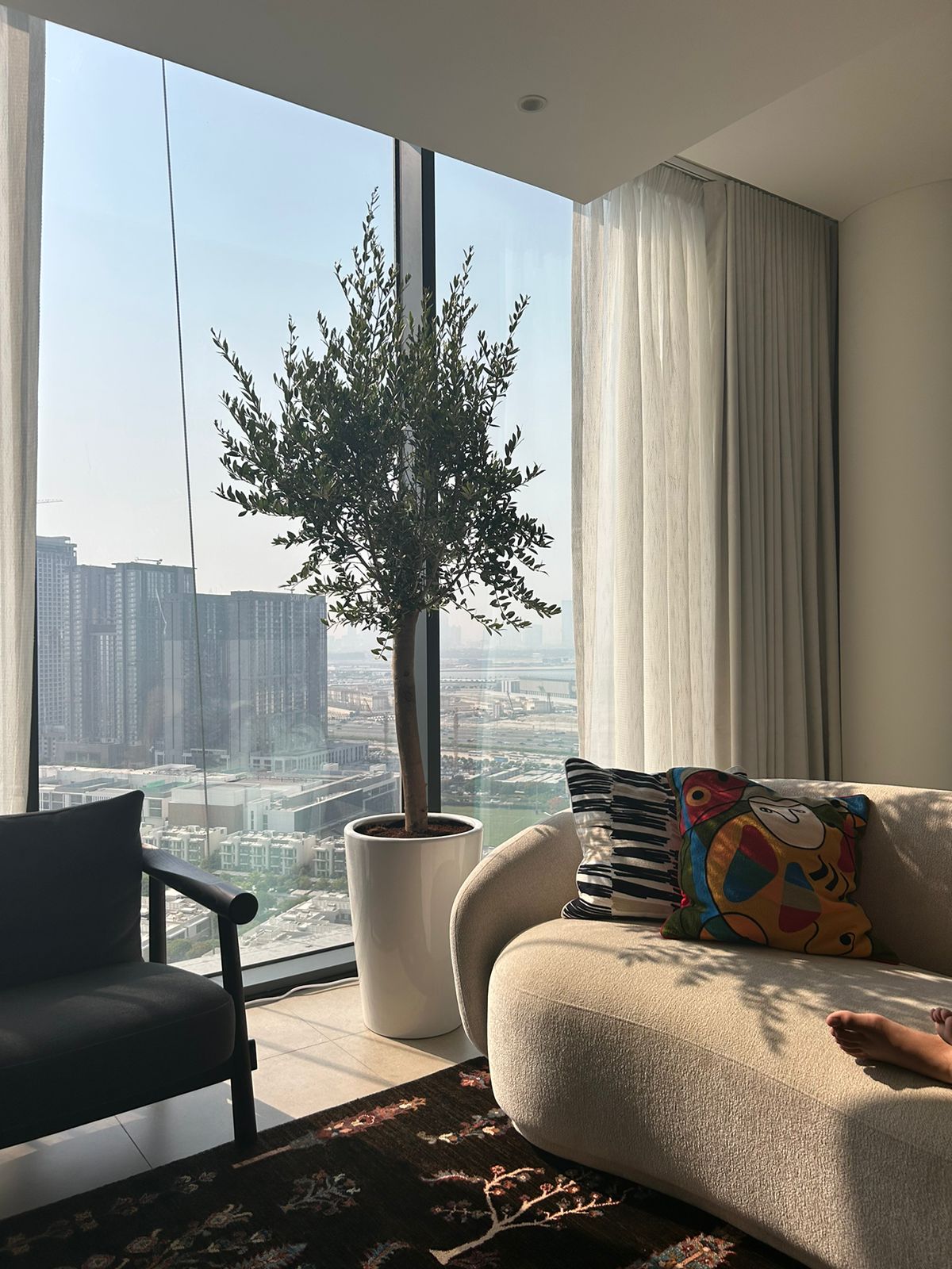 Indoor Olive Large in White Ceramic