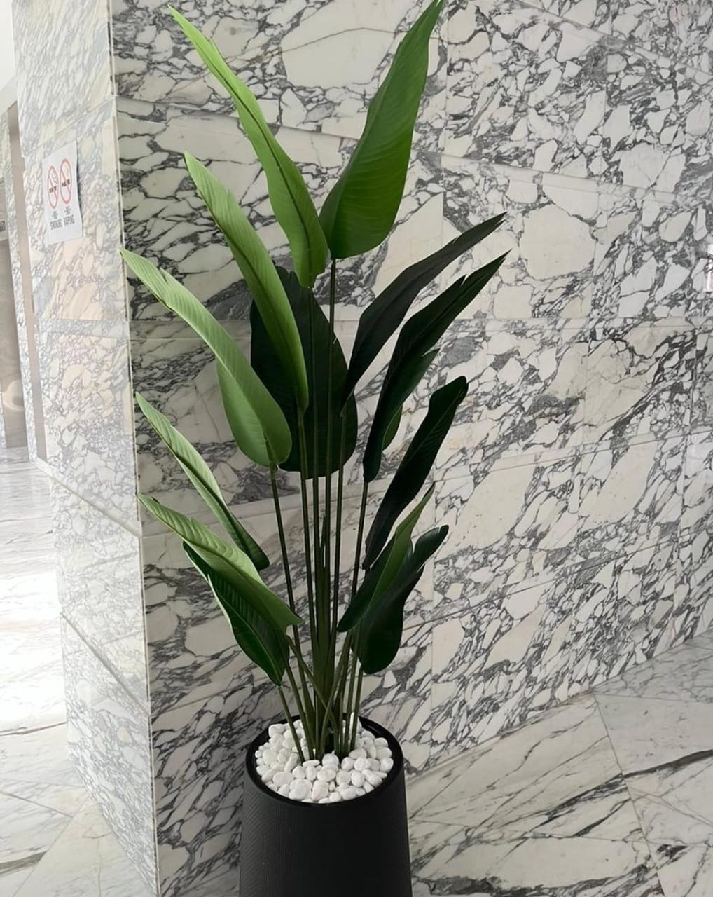 Artificial Travellers Palm Big