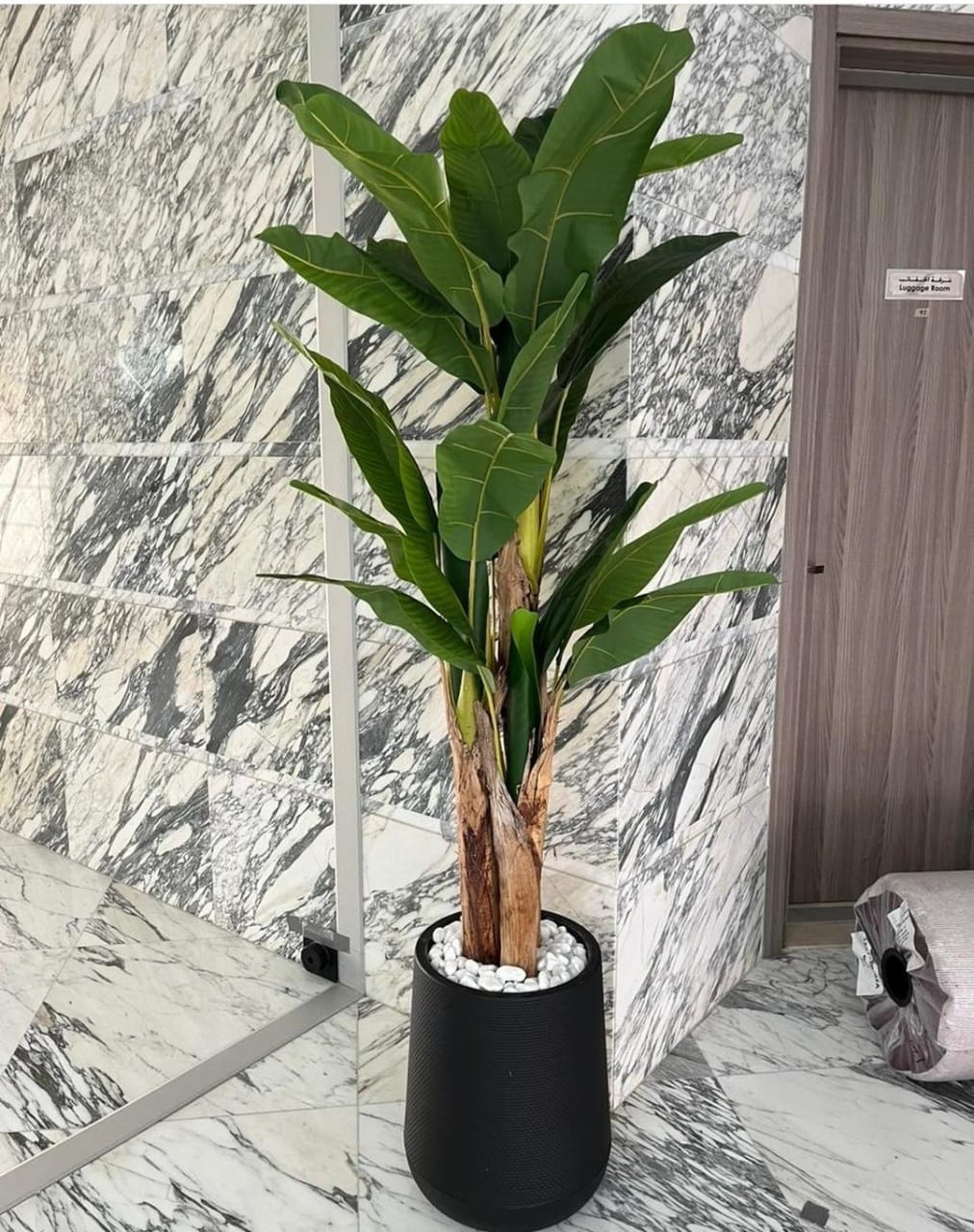 Artificial Premium Banana 180cm to 2m