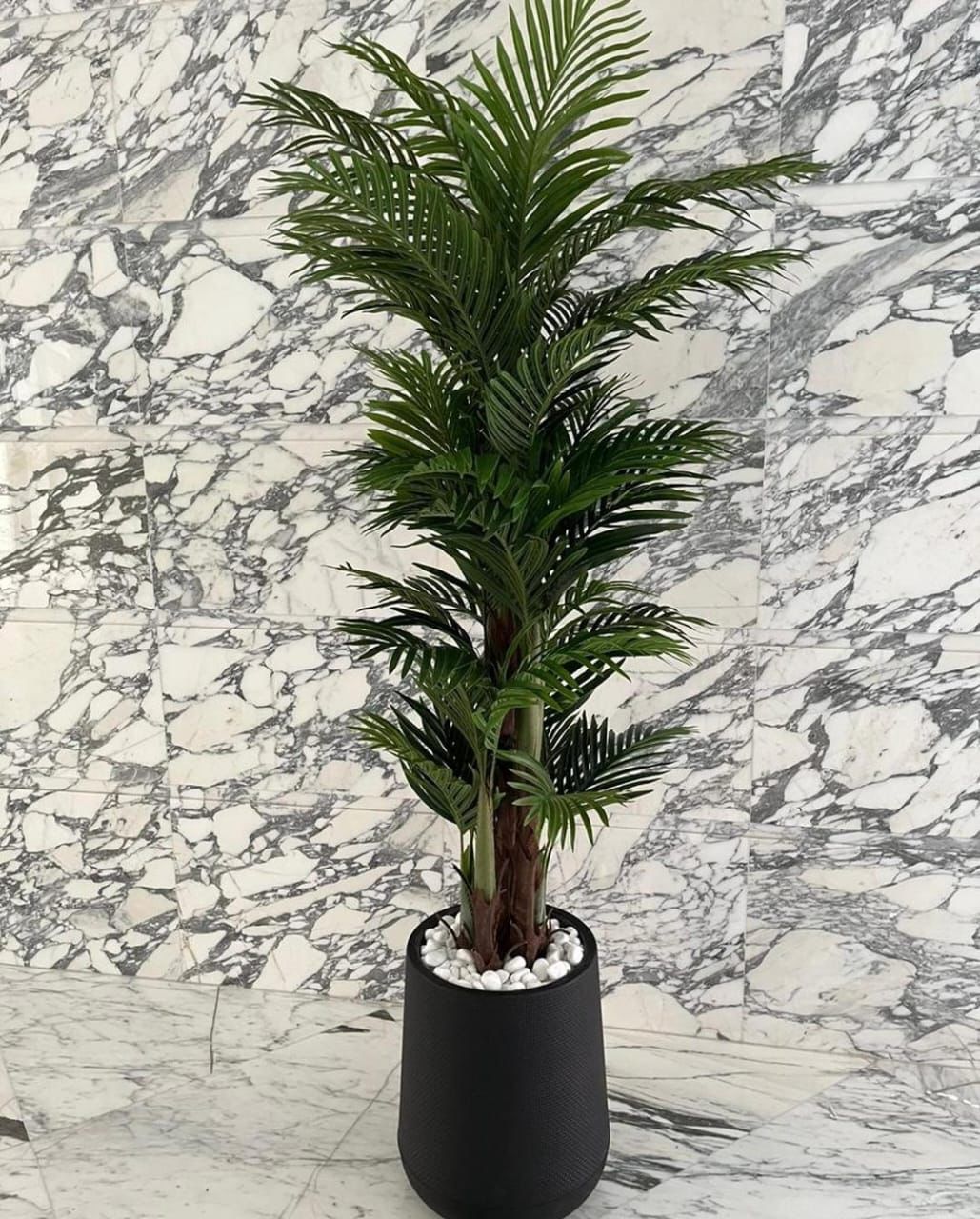 Artificial Areca 2m Palm in Black