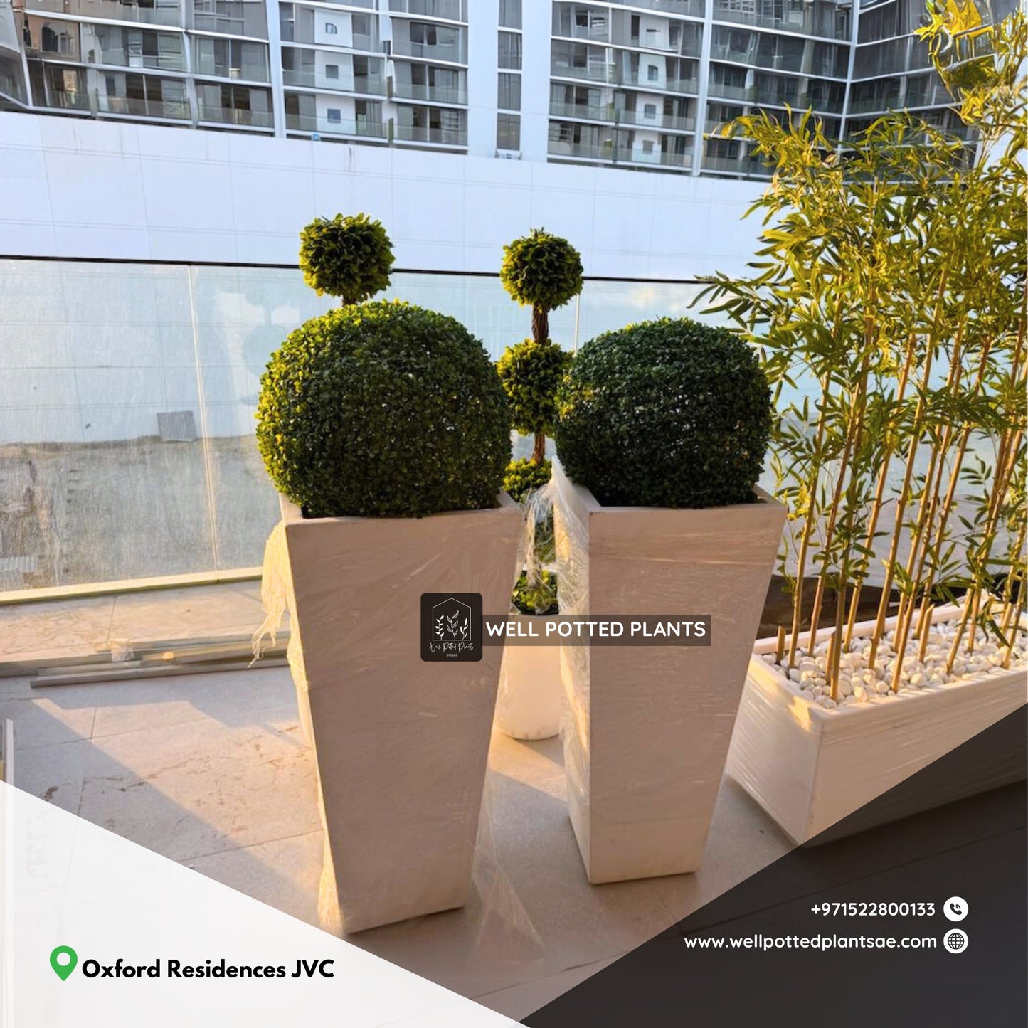 Artificial Grass Ball Each in Fiber Per Pot