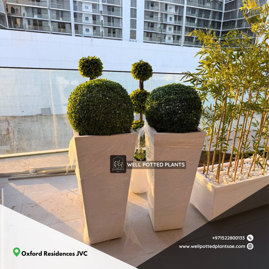 Artificial Grass Ball Each in Fiber Per Pot