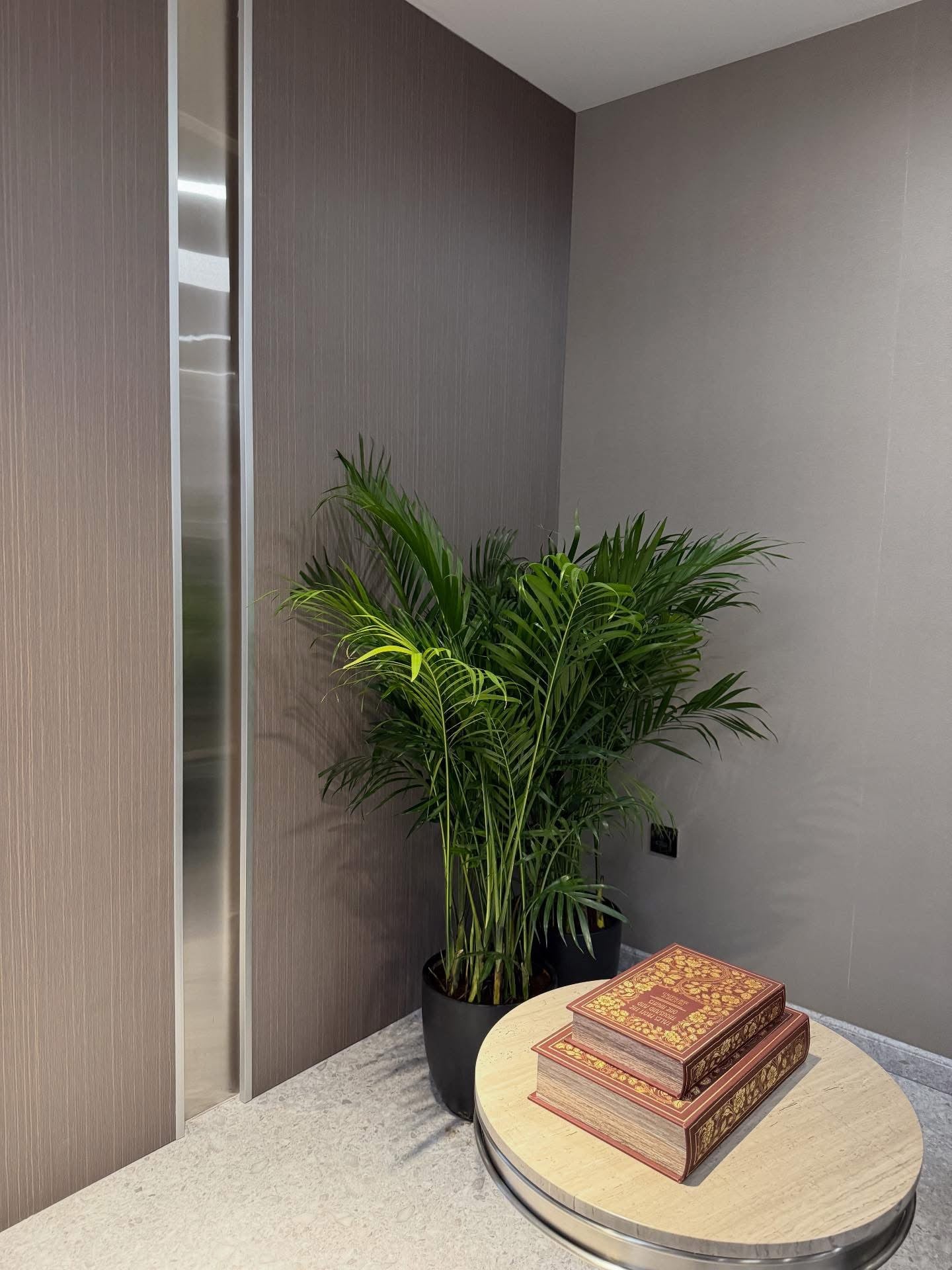 Kentia Palm Tree Plants UAE. Decorative setup with a potted plant and wooden boxes on a round table against a gray wall.