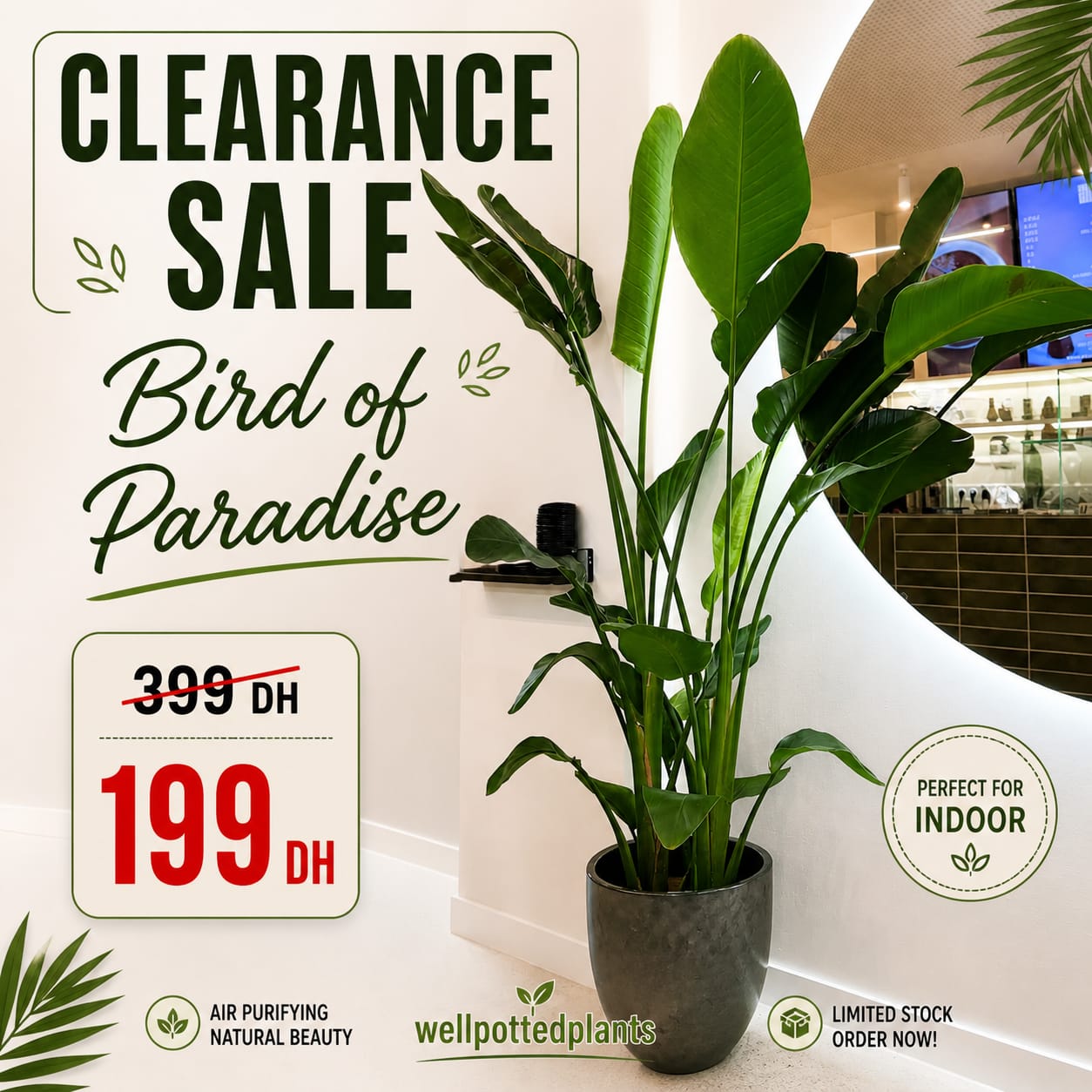 Special Clearance Sale for the Month of May in UAE