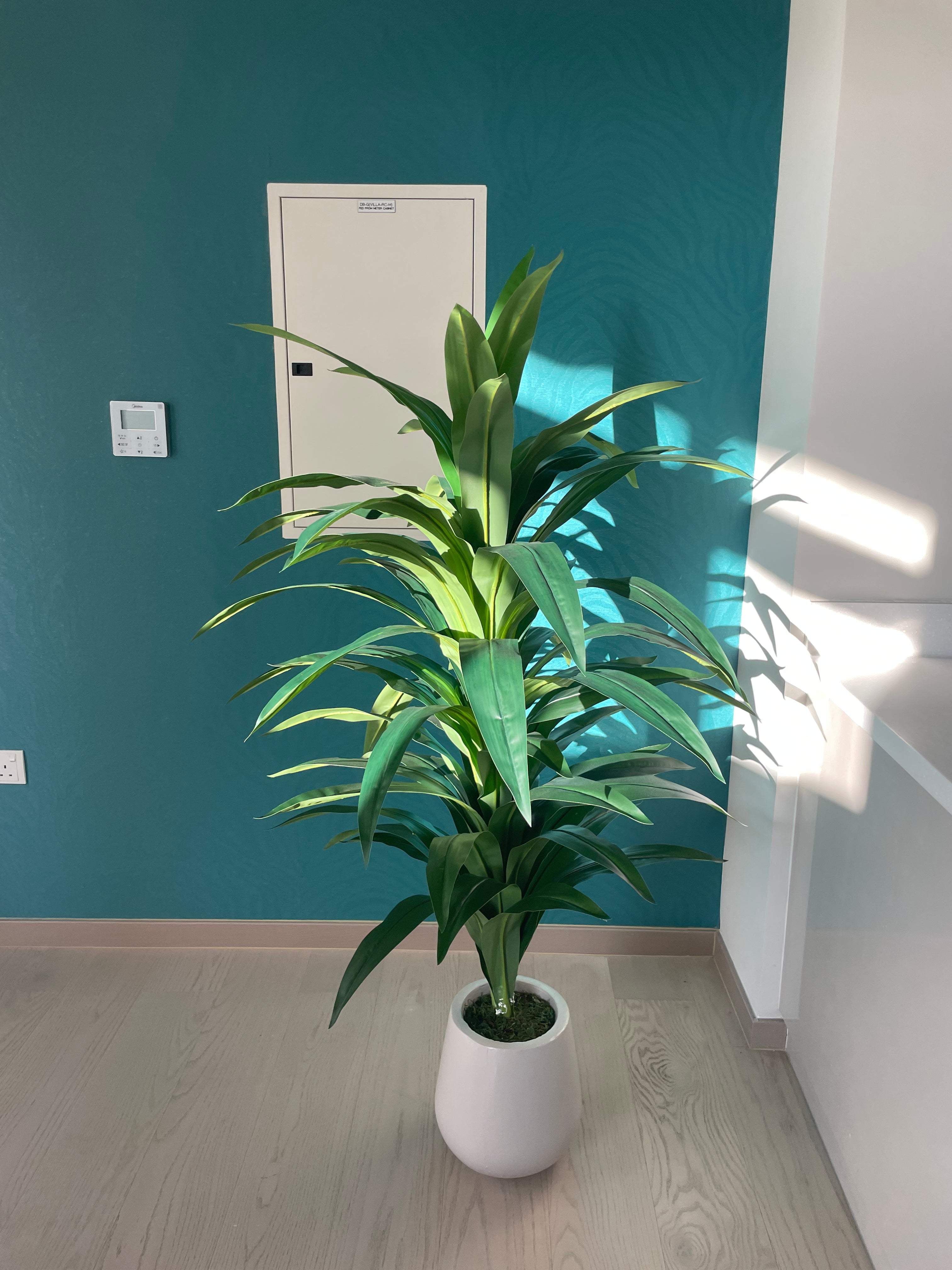 Artificial Yukka Buy 1 Take 1