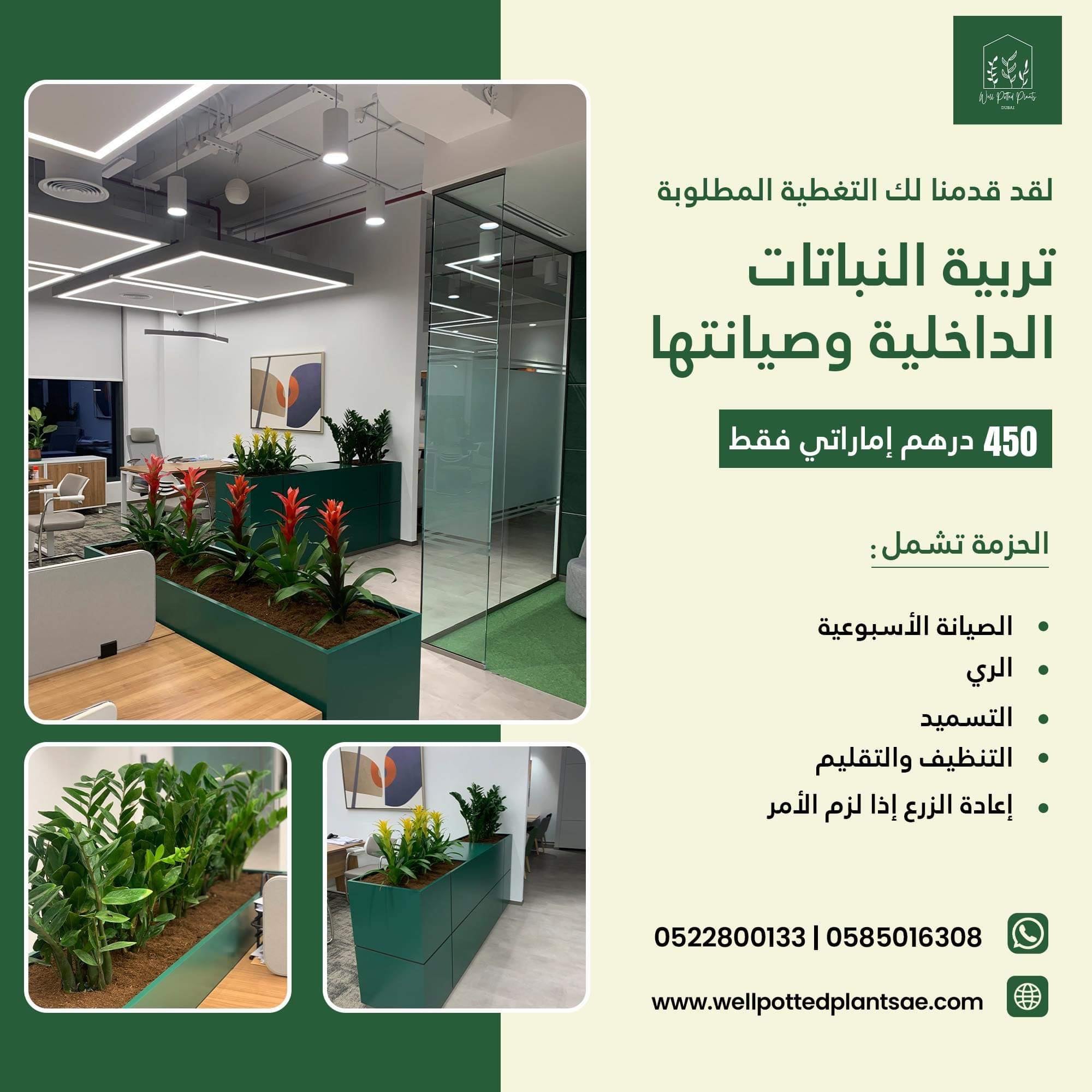 Plant Maintenance(1 month)