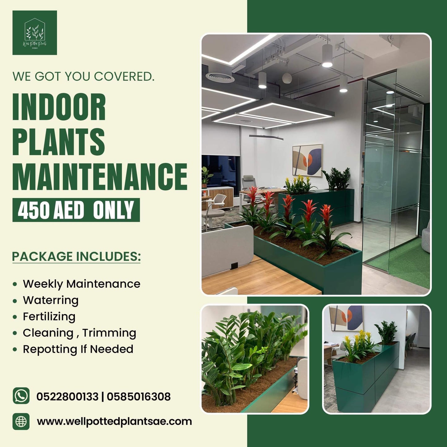 Plant Maintenance(1 month)